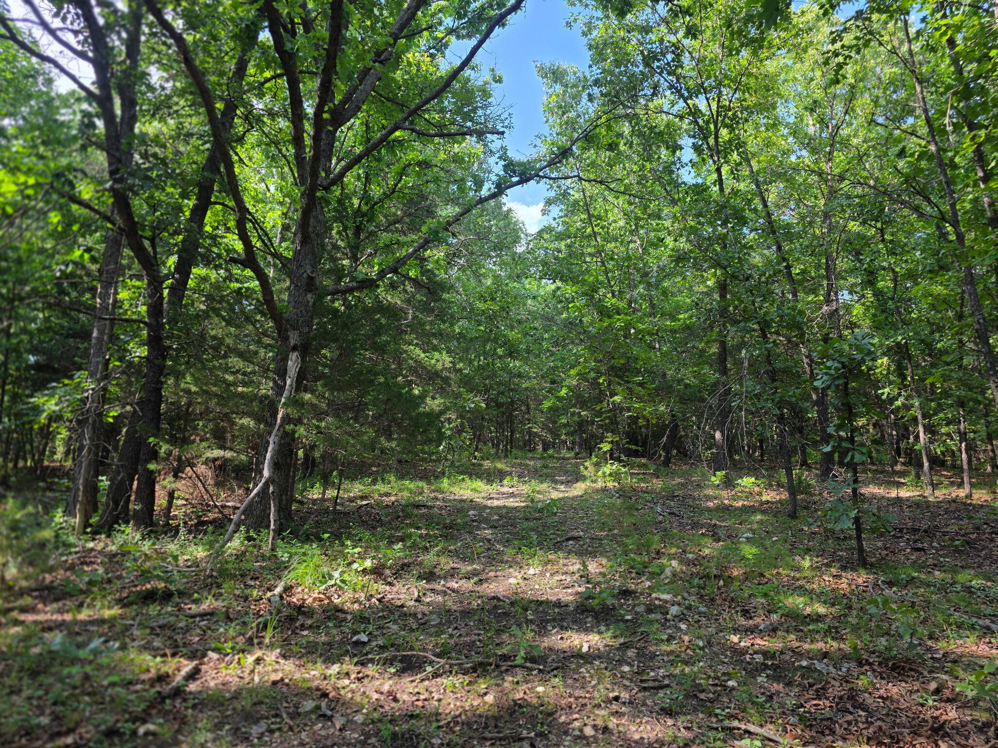 Photo 31 - Land for sale – 0000  State Highway Mm   Niangua, MO