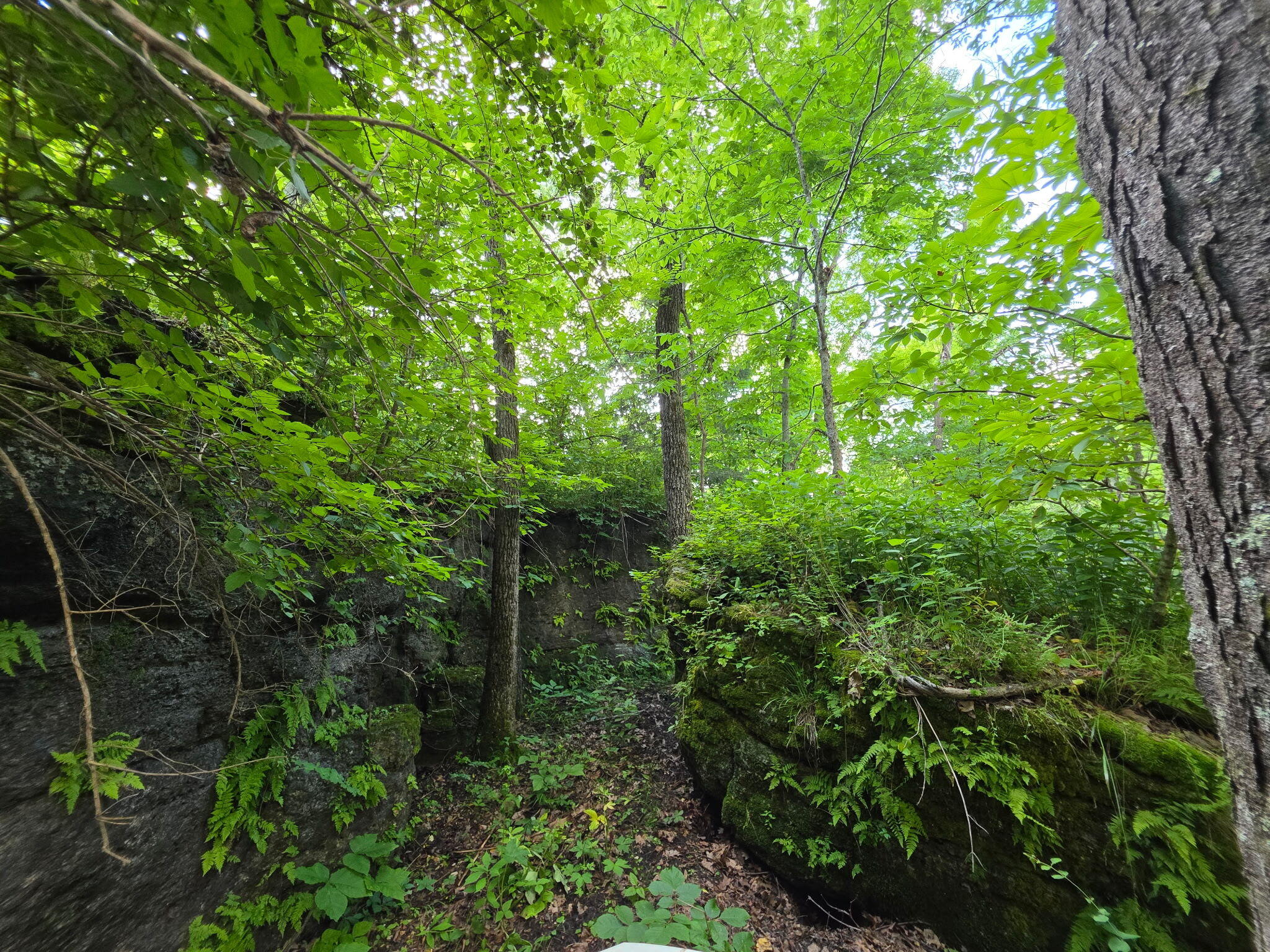 Photo 22 - Land for sale – 0000  State Highway Mm   Niangua, MO