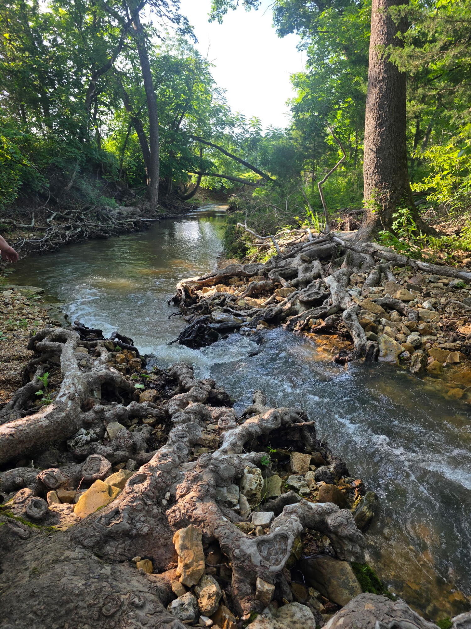 Photo 40 - Land for sale – 0000  State Highway Mm   Niangua, MO