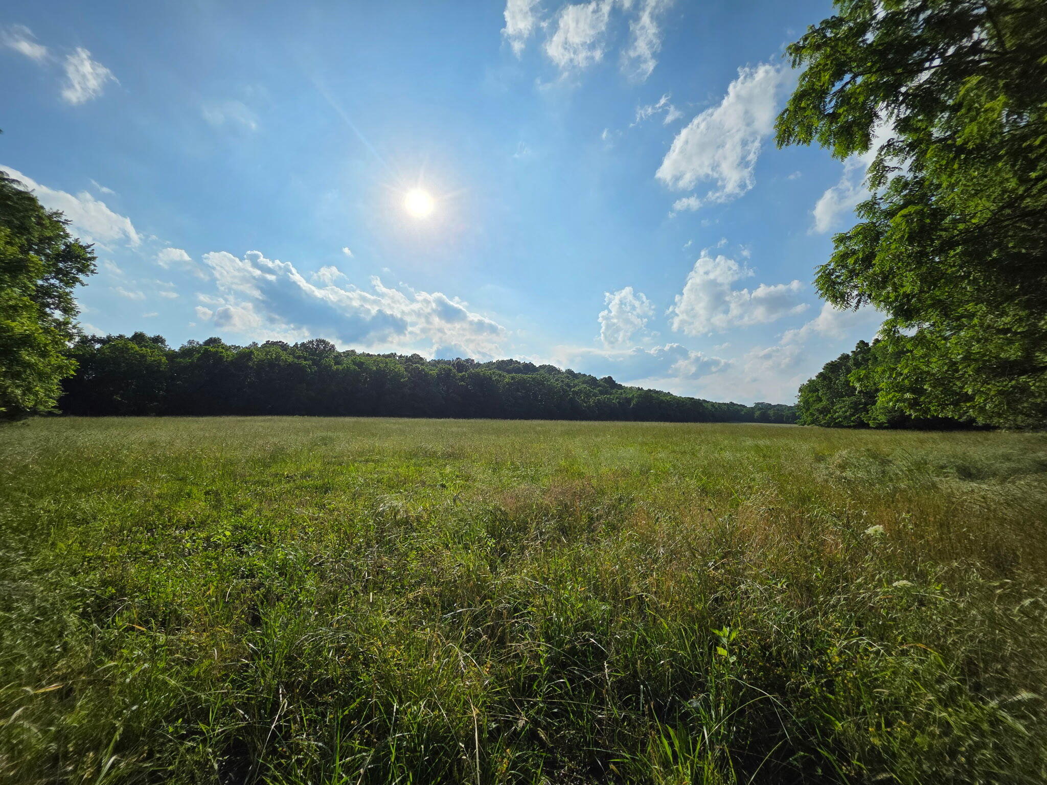 Photo 2 - Land for sale – 0000  State Highway Mm   Niangua, MO