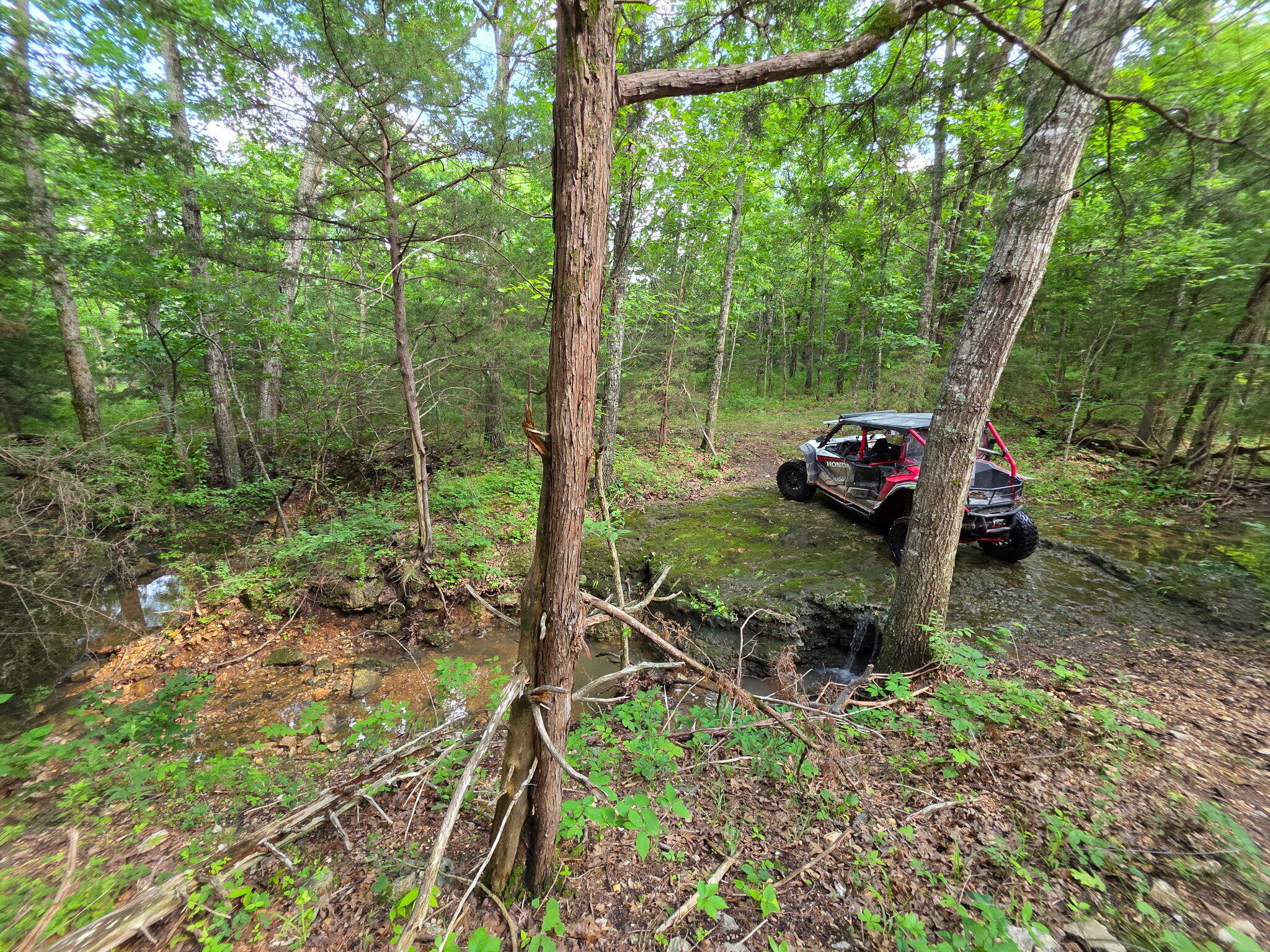 Photo 25 - Land for sale – 0000  State Highway Mm   Niangua, MO