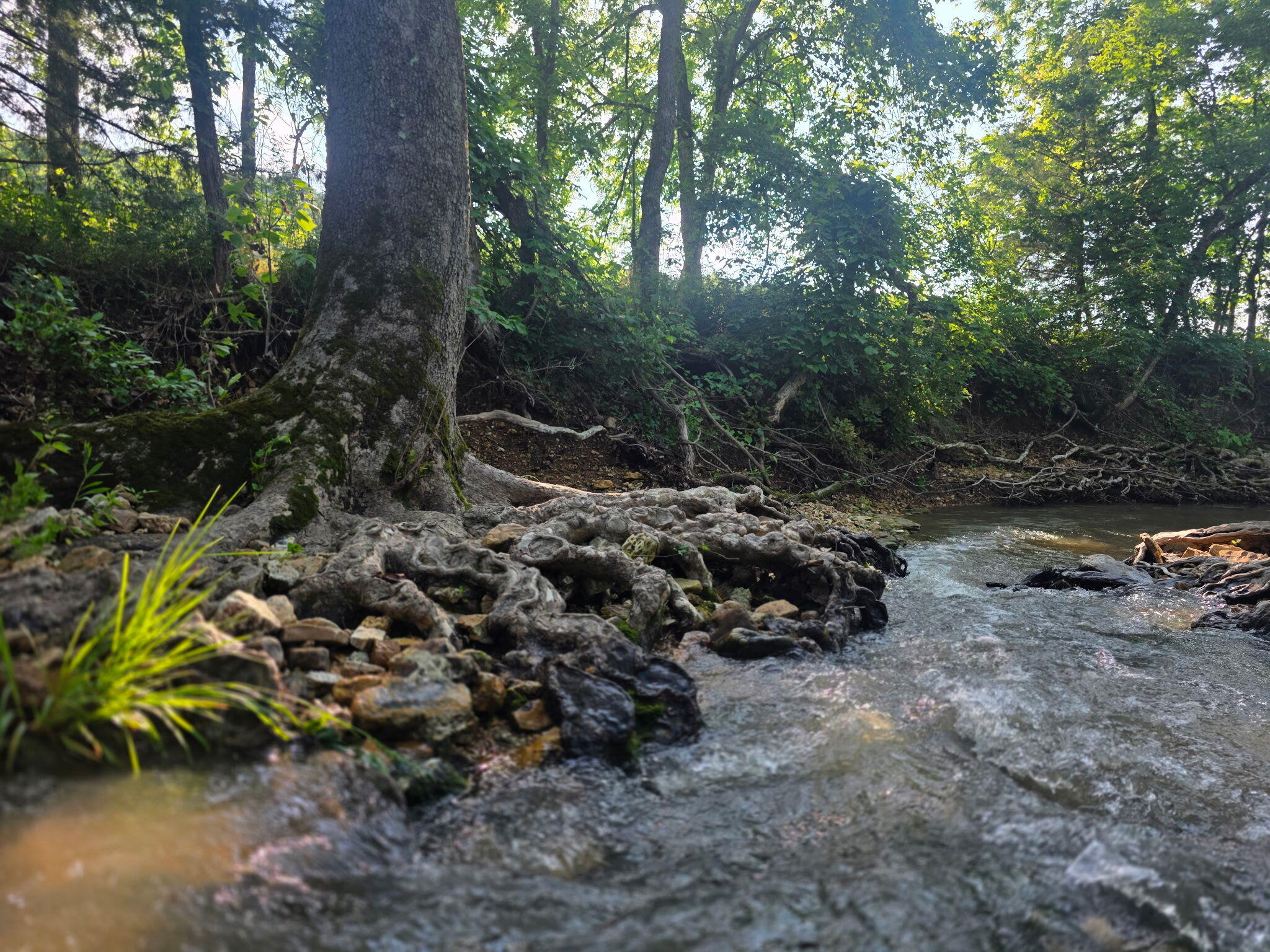 Photo 39 - Land for sale – 0000  State Highway Mm   Niangua, MO