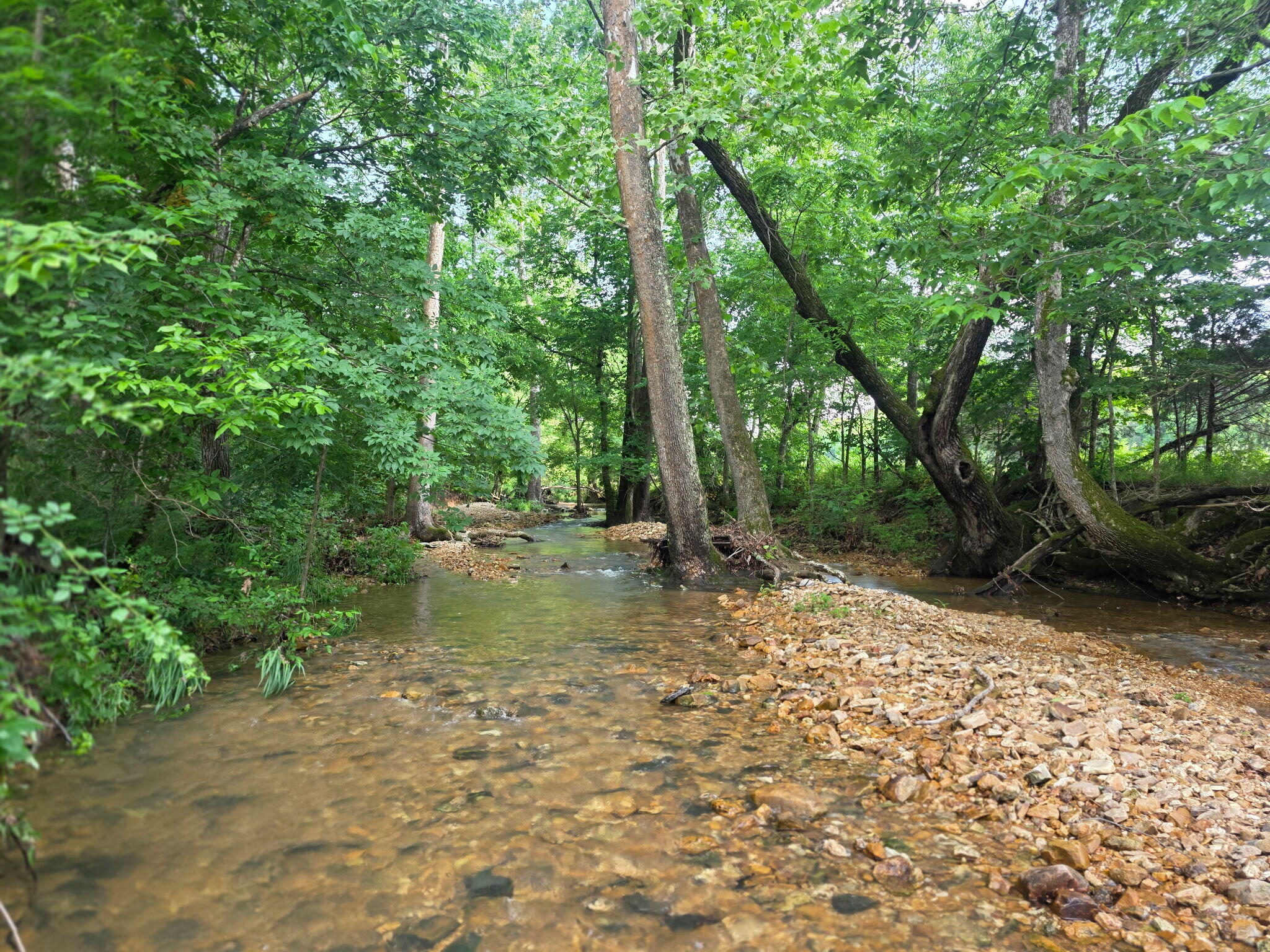 Photo 36 - Land for sale – 0000  State Highway Mm   Niangua, MO