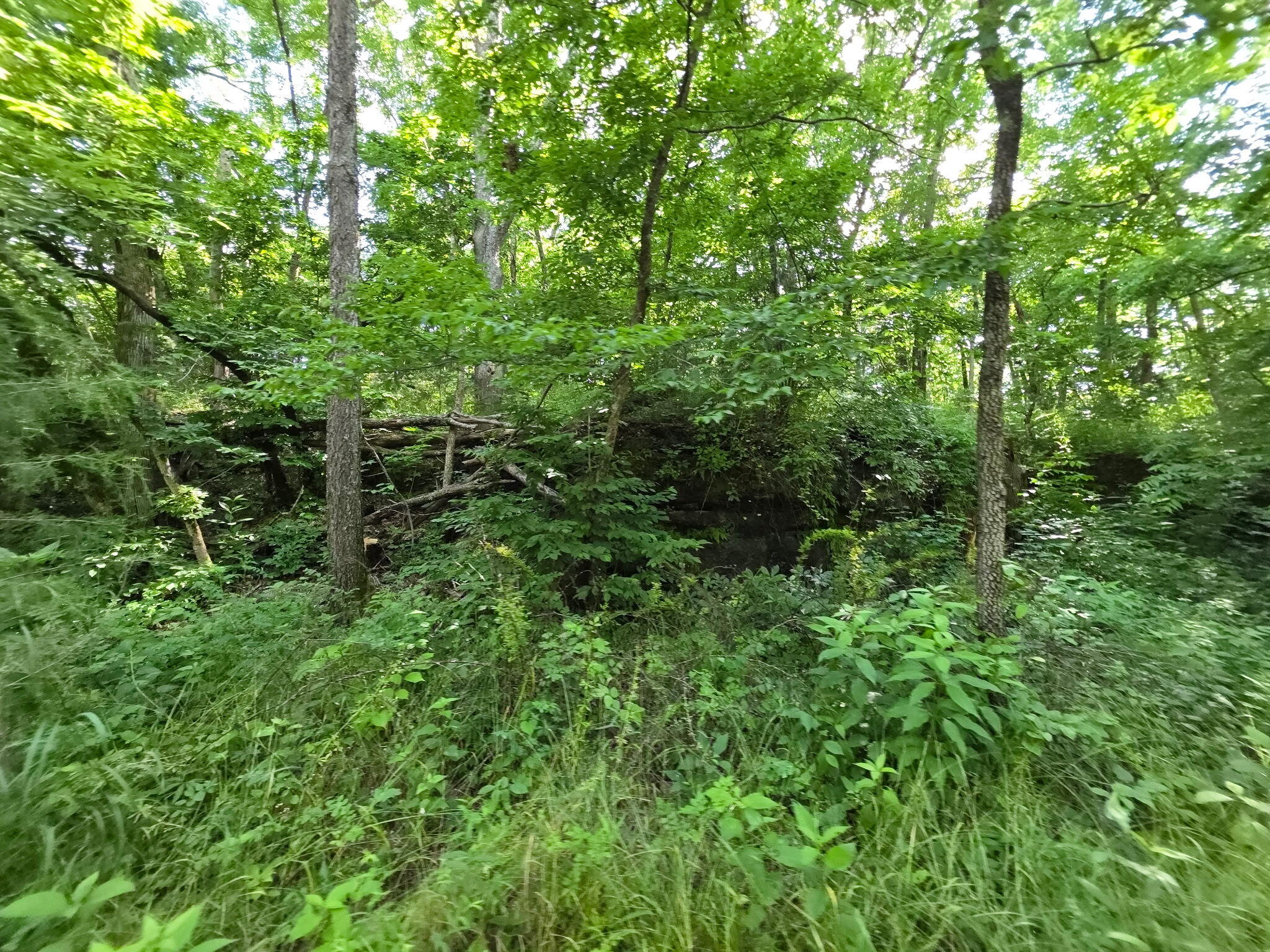 Photo 21 - Land for sale – 0000  State Highway Mm   Niangua, MO
