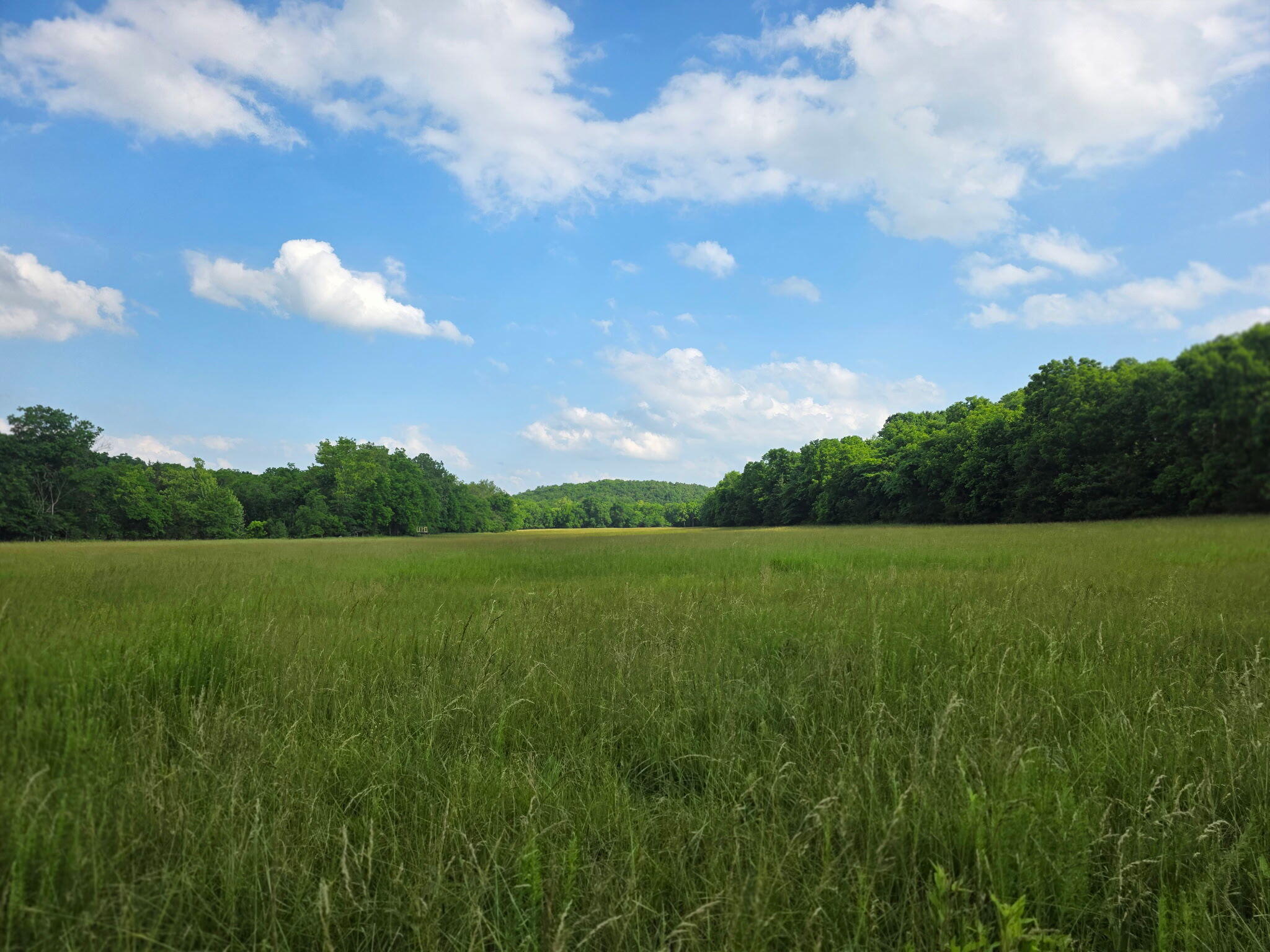 Photo 35 - Land for sale – 0000  State Highway Mm   Niangua, MO