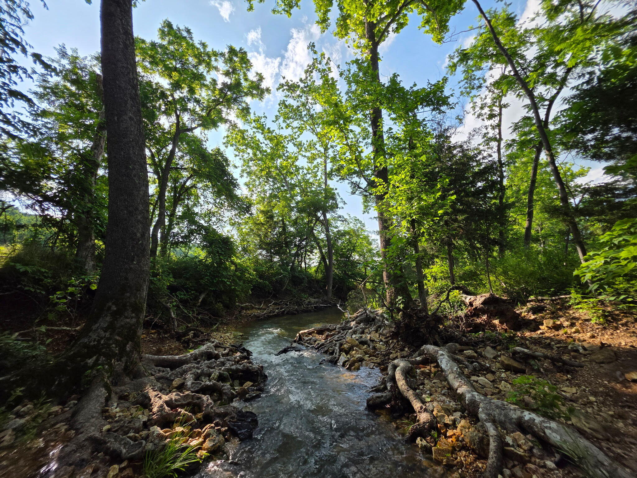Photo 38 - Land for sale – 0000  State Highway Mm   Niangua, MO