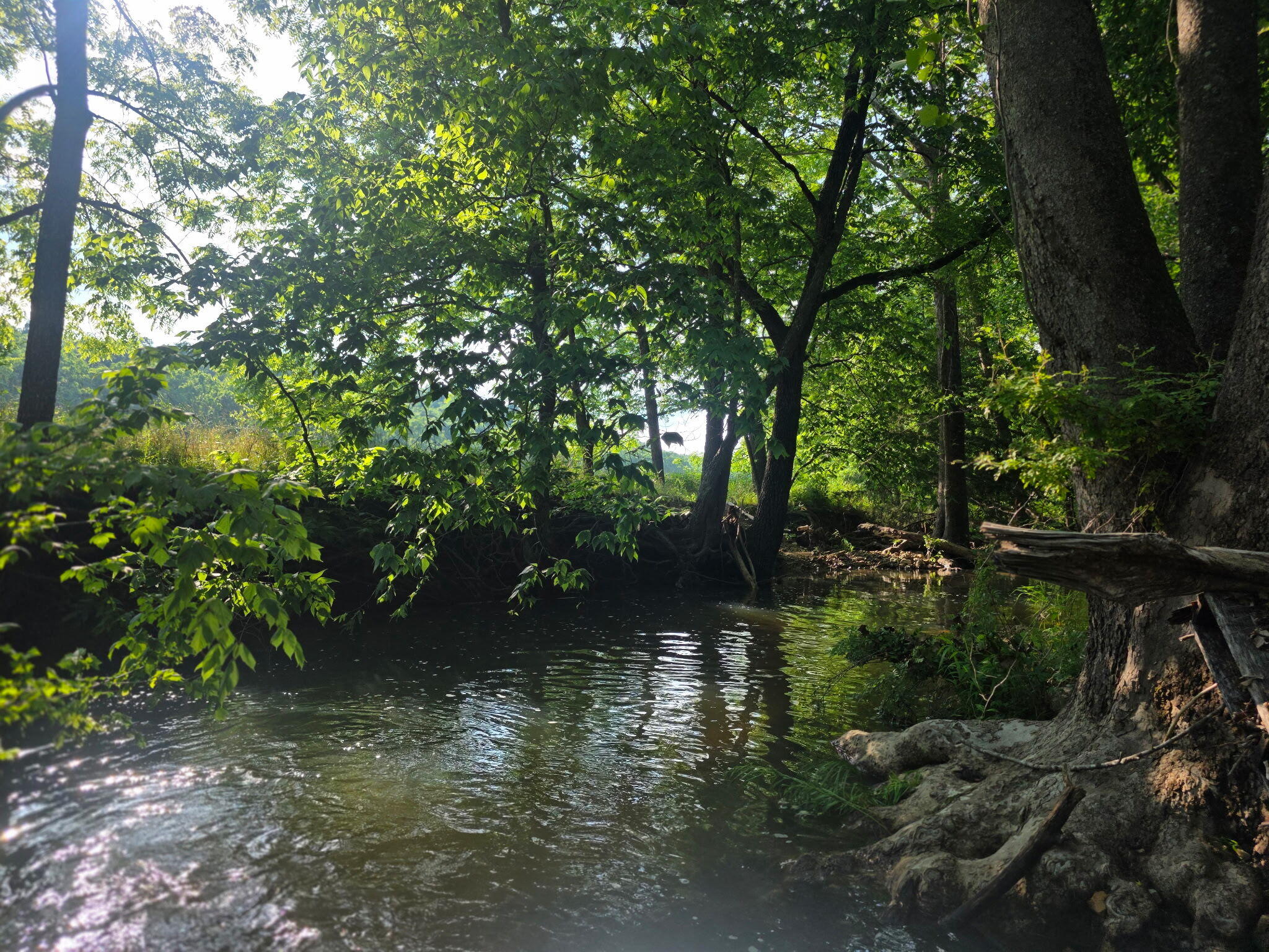 Photo 42 - Land for sale – 0000  State Highway Mm   Niangua, MO