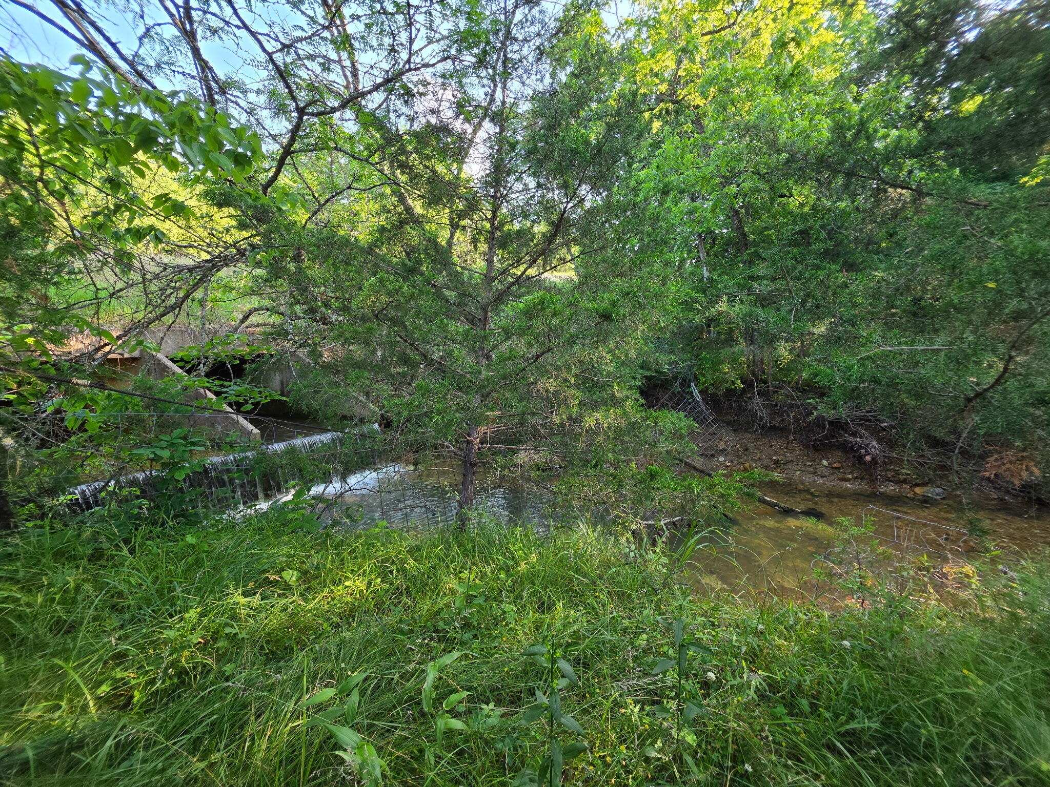 Photo 43 - Land for sale – 0000  State Highway Mm   Niangua, MO