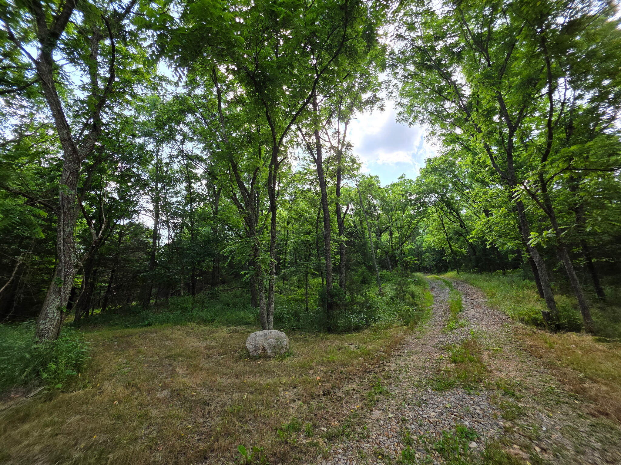 Photo 24 - Land for sale – 0000  State Highway Mm   Niangua, MO