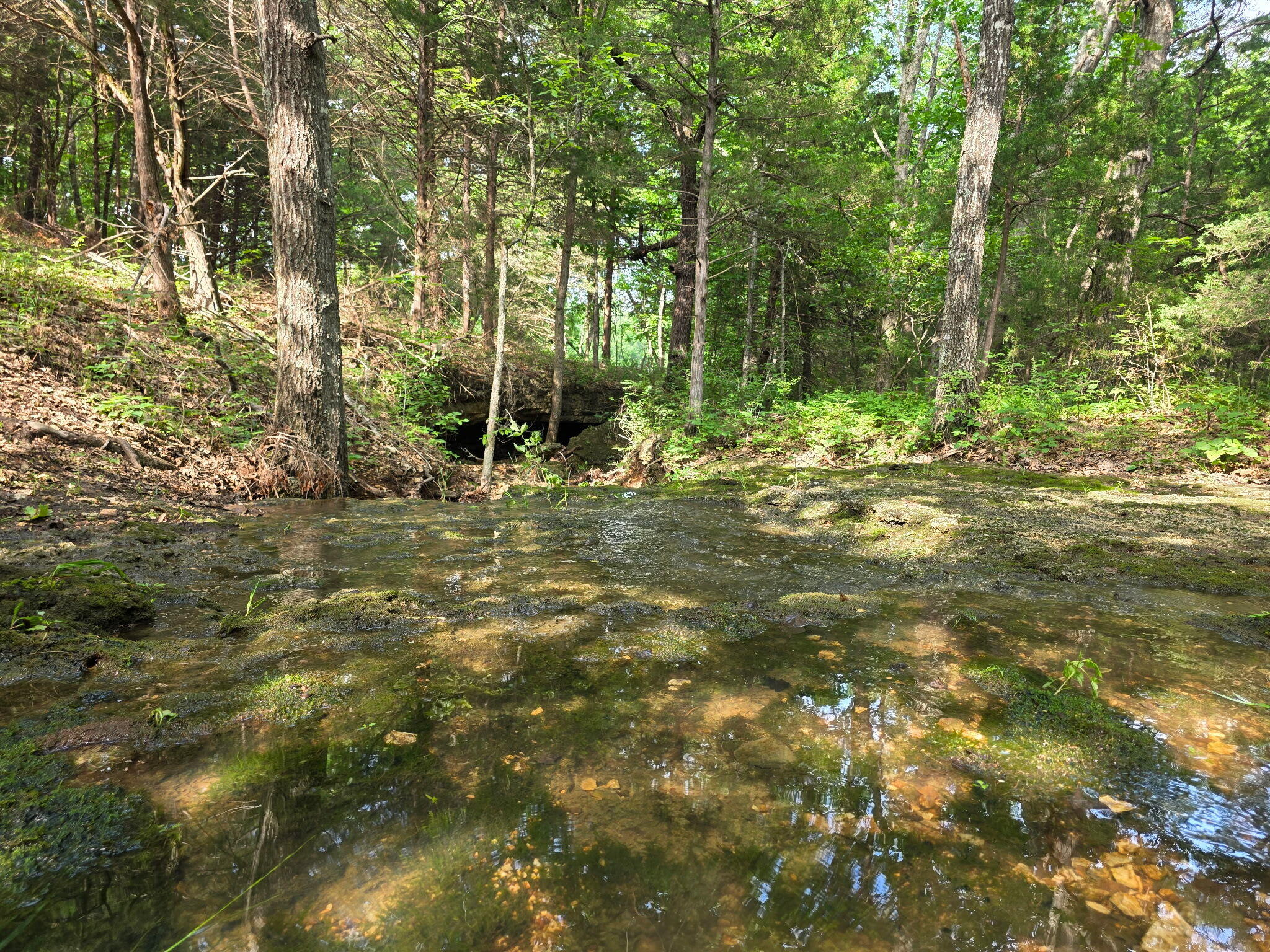 Photo 27 - Land for sale – 0000  State Highway Mm   Niangua, MO