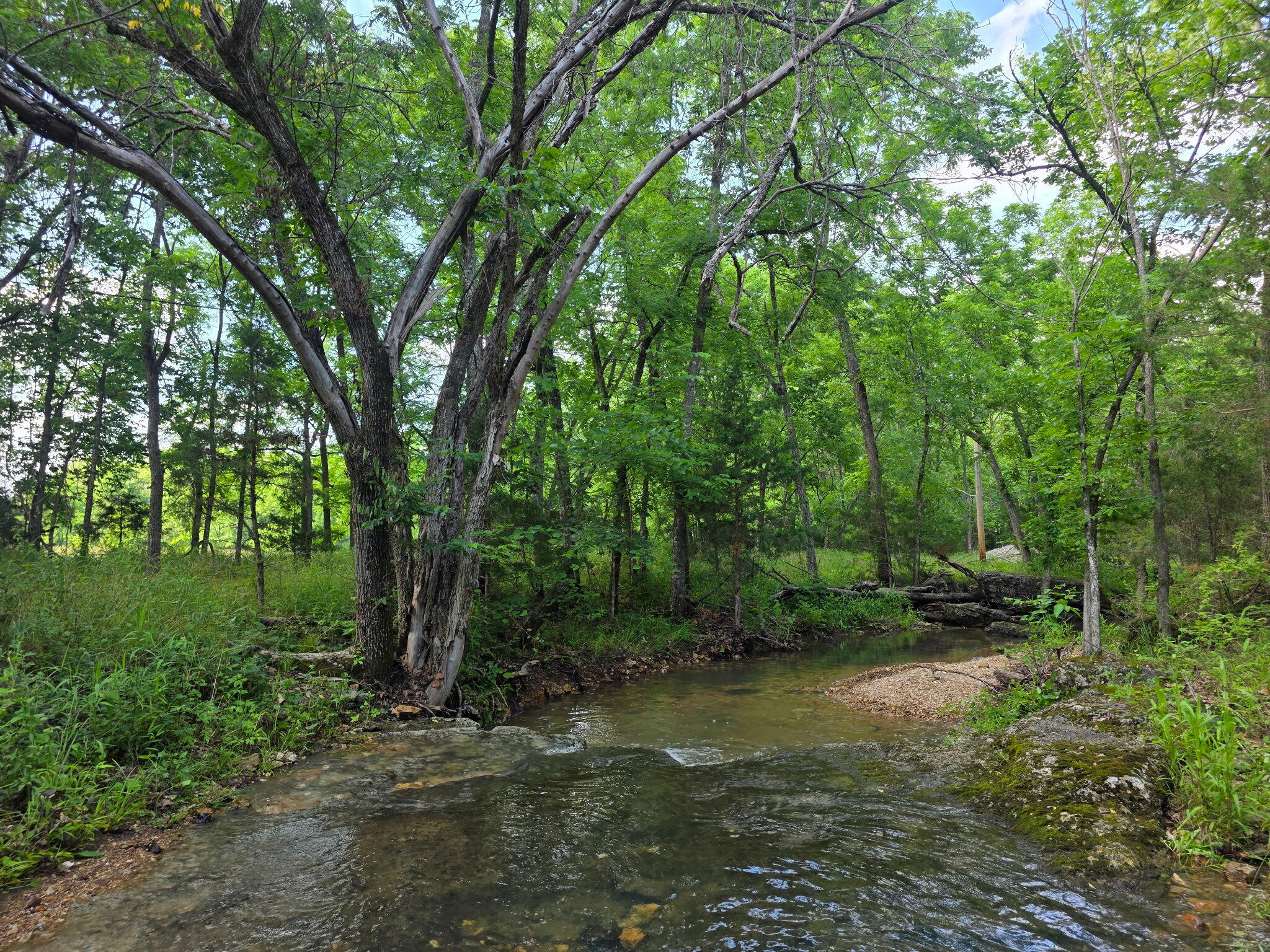 Photo 23 - Land for sale – 0000  State Highway Mm   Niangua, MO