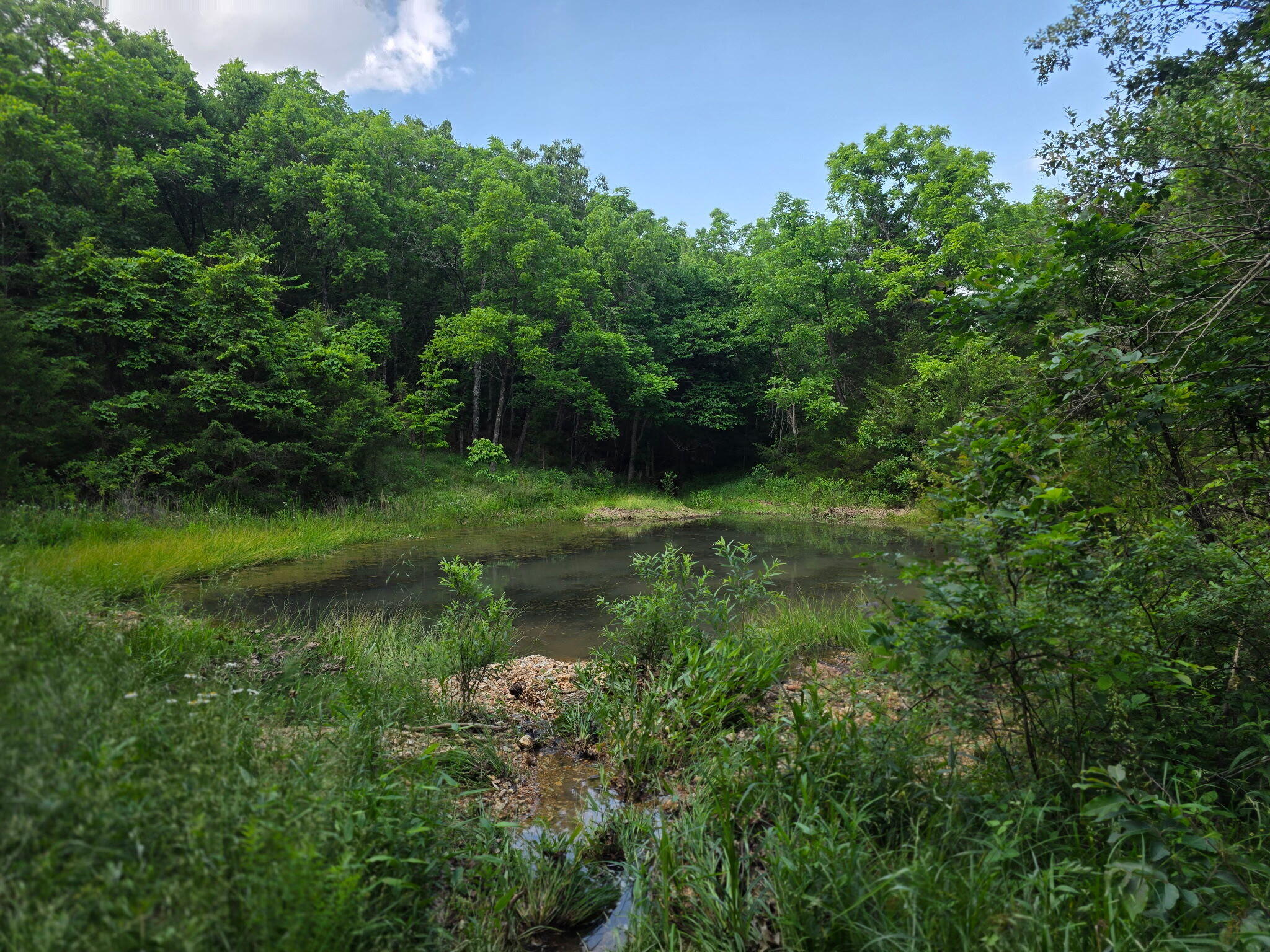 Photo 29 - Land for sale – 0000  State Highway Mm   Niangua, MO