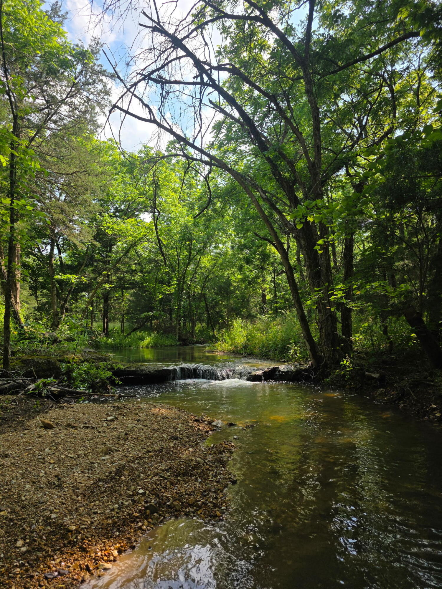 Photo 19 - Land for sale – 0000  State Highway Mm   Niangua, MO