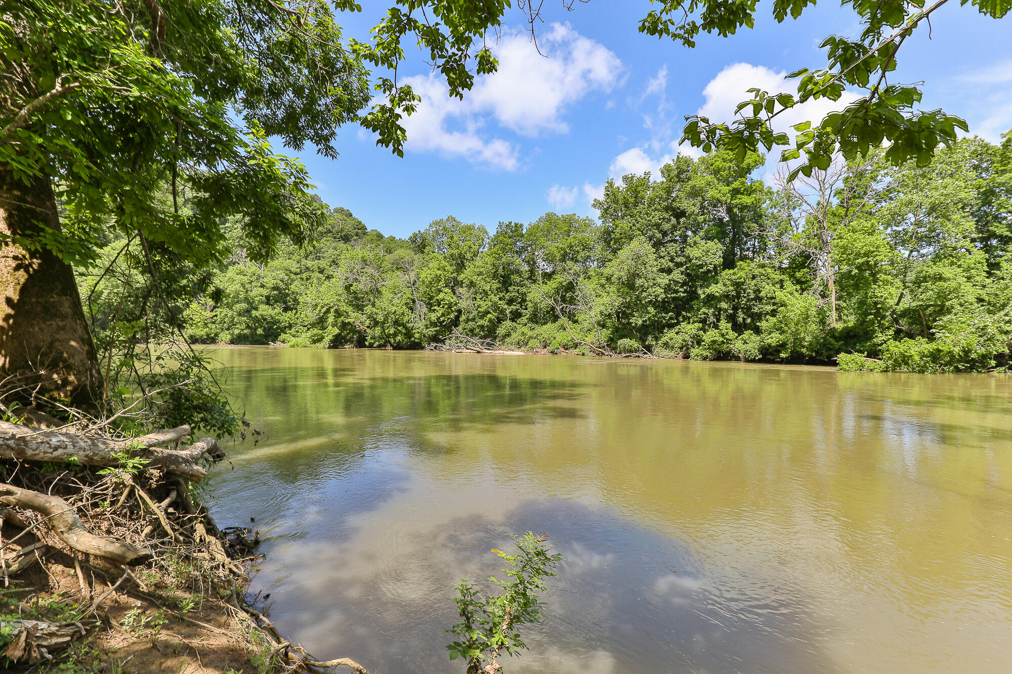 Photo 7 - Residential for sale – 811  Rainbow Valley Drive  Highlandville, MO