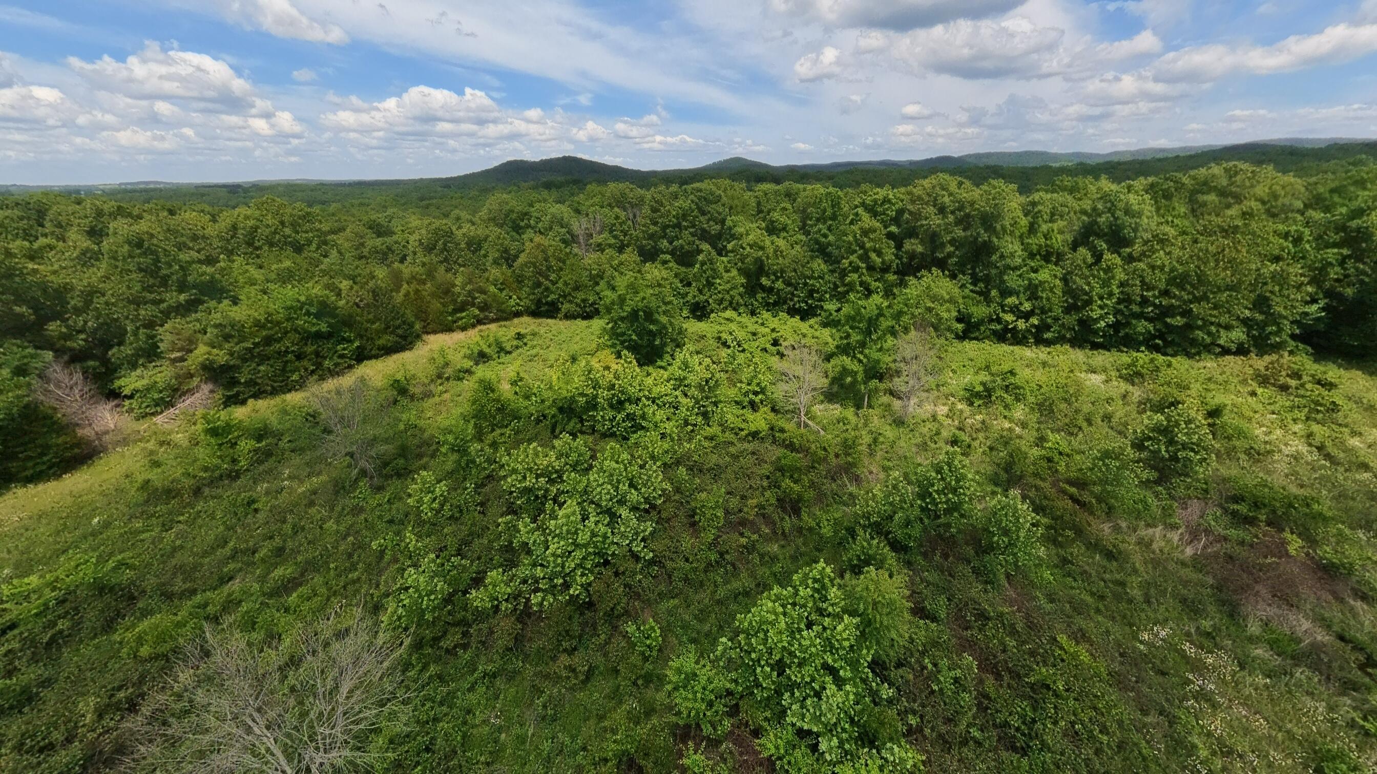 Photo 11 - Land for sale – 298  Eaton Run   Wasola, MO