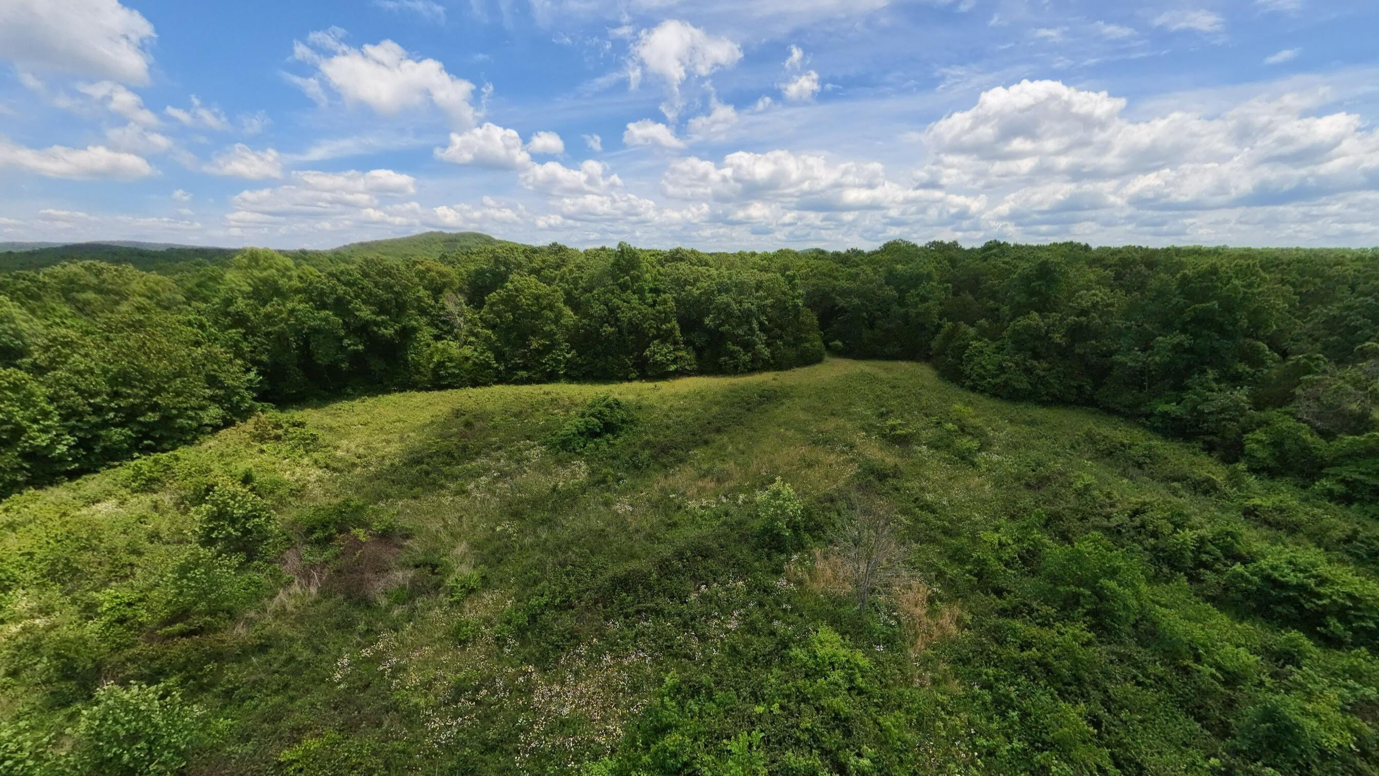 Photo 10 - Land for sale – 298  Eaton Run   Wasola, MO