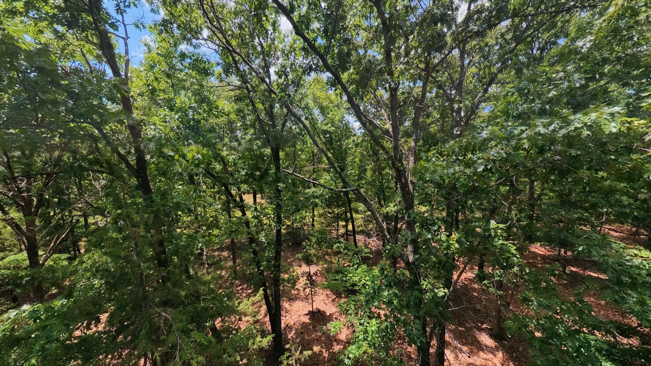 Photo 21 - Land for sale – 298  Eaton Run   Wasola, MO