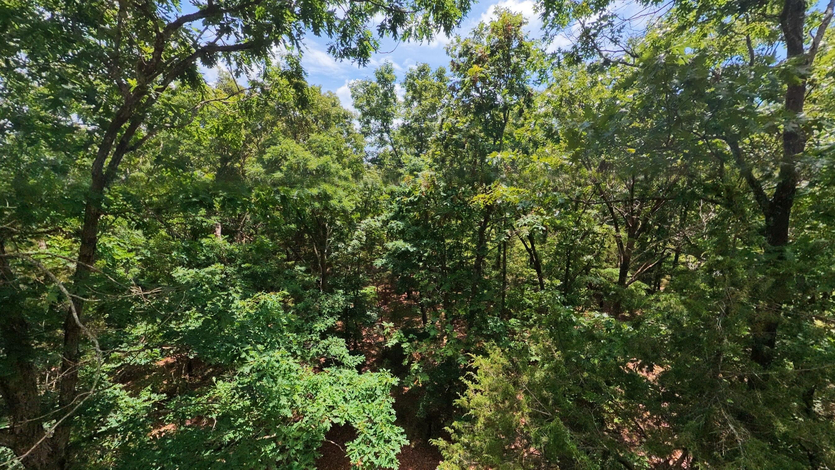 Photo 20 - Land for sale – 298  Eaton Run   Wasola, MO