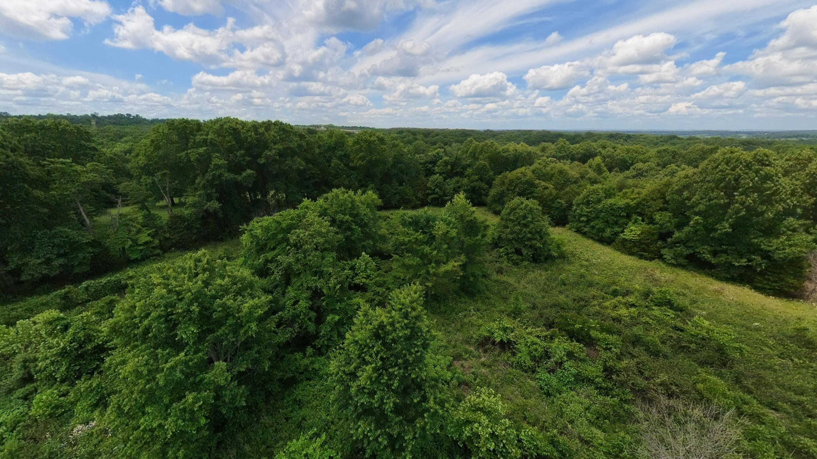 Photo 12 - Land for sale – 298  Eaton Run   Wasola, MO