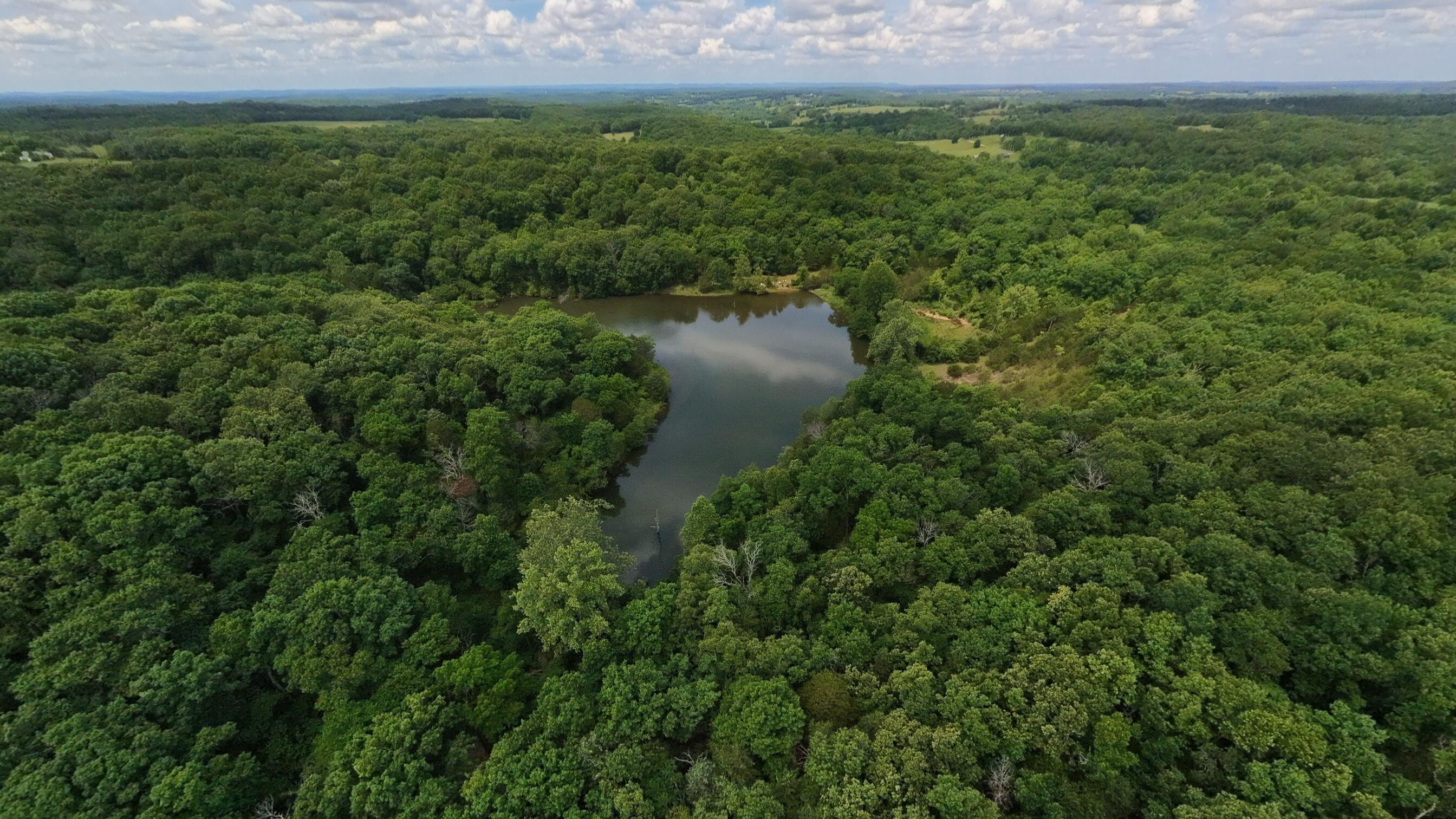 Photo 6 - Land for sale – 298  Eaton Run   Wasola, MO