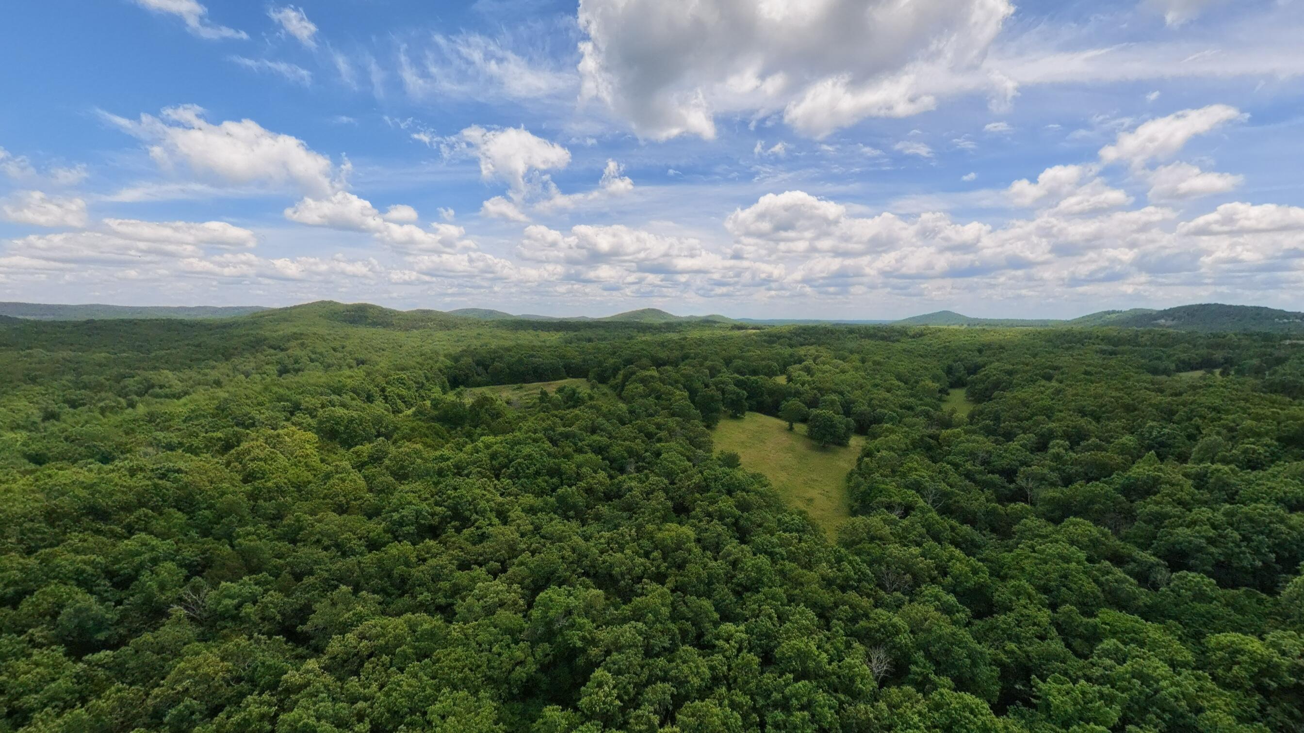Photo 7 - Land for sale – 298  Eaton Run   Wasola, MO