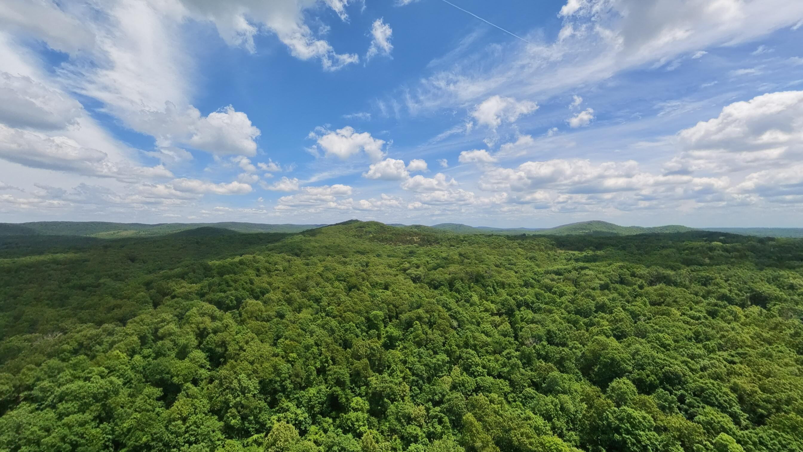 Photo 13 - Land for sale – 298  Eaton Run   Wasola, MO