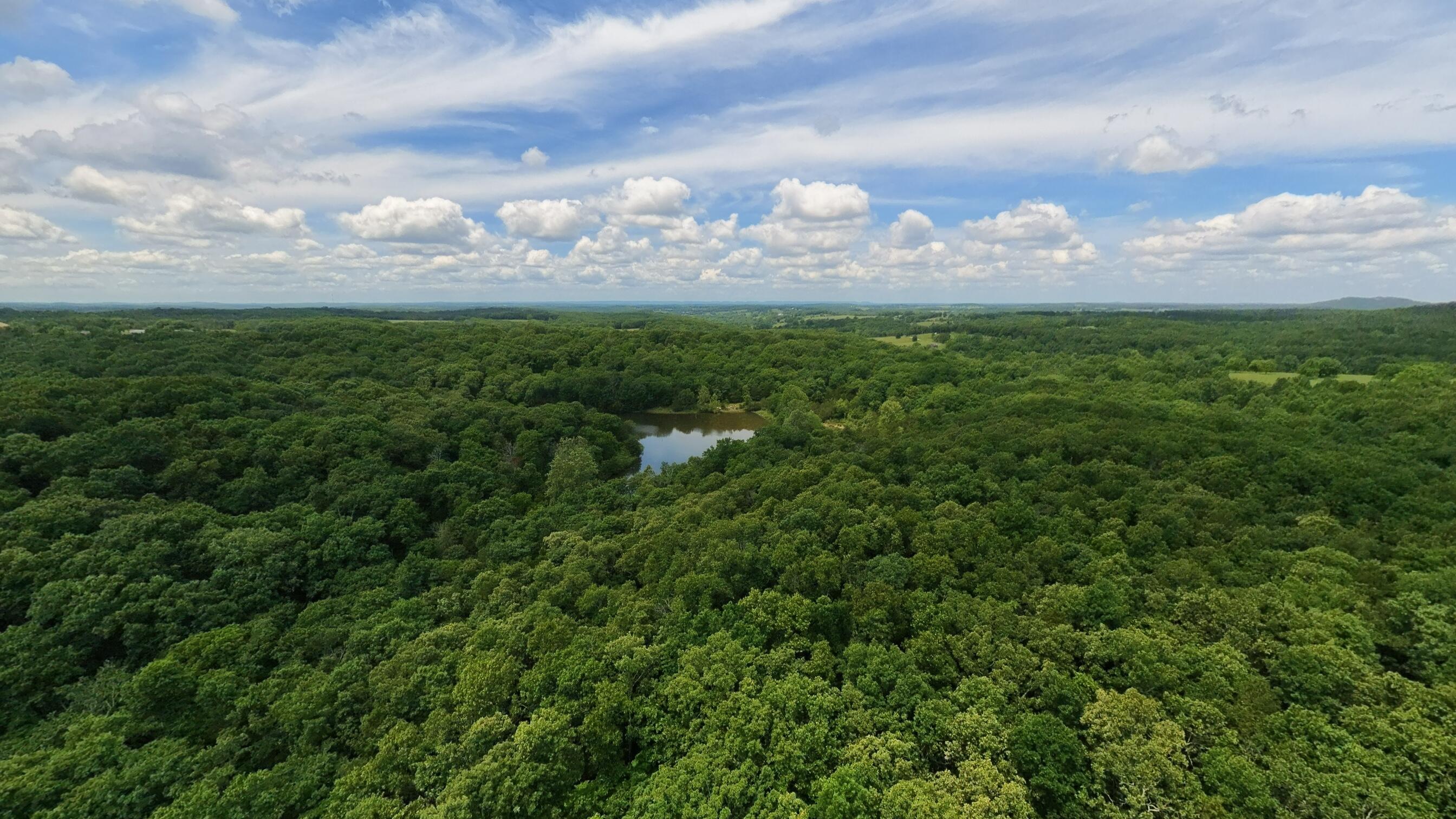 Photo 8 - Land for sale – 298  Eaton Run   Wasola, MO