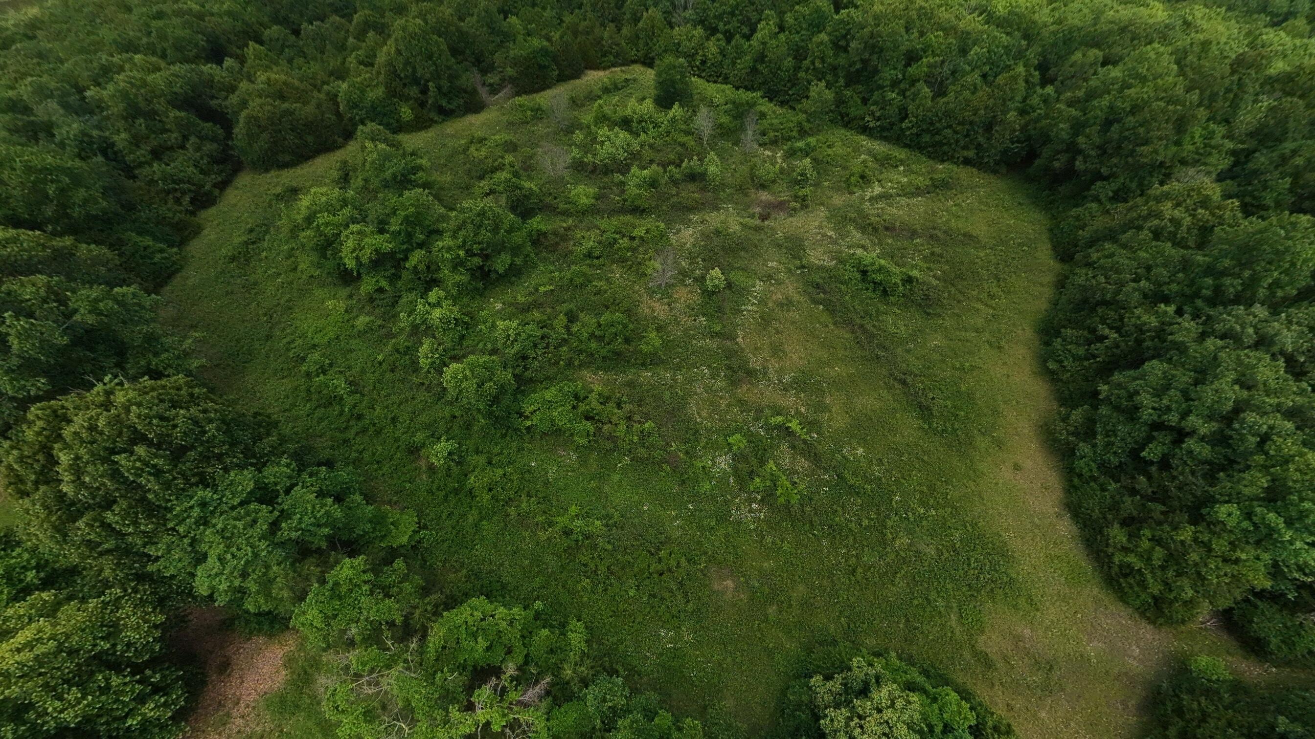 Photo 3 - Land for sale – 298  Eaton Run   Wasola, MO