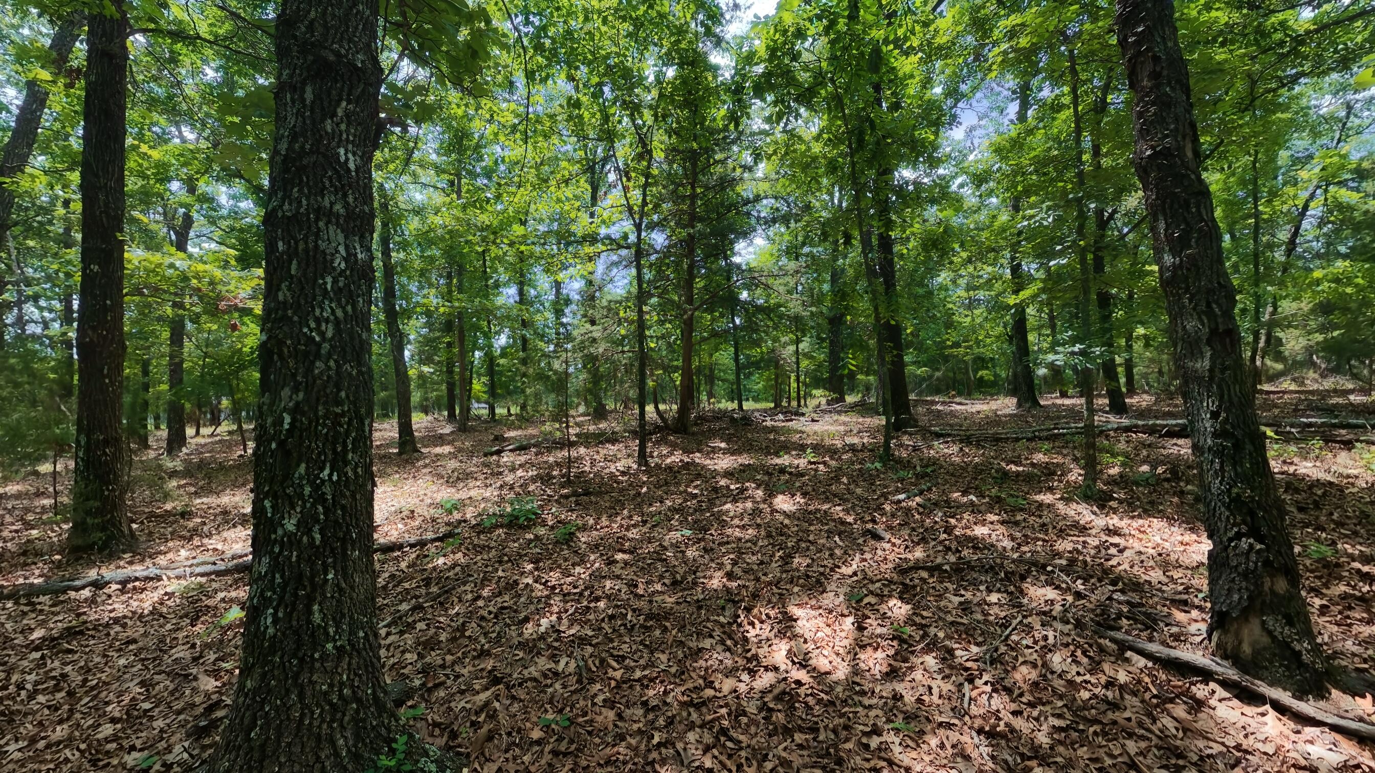 Photo 16 - Land for sale – 298  Eaton Run   Wasola, MO