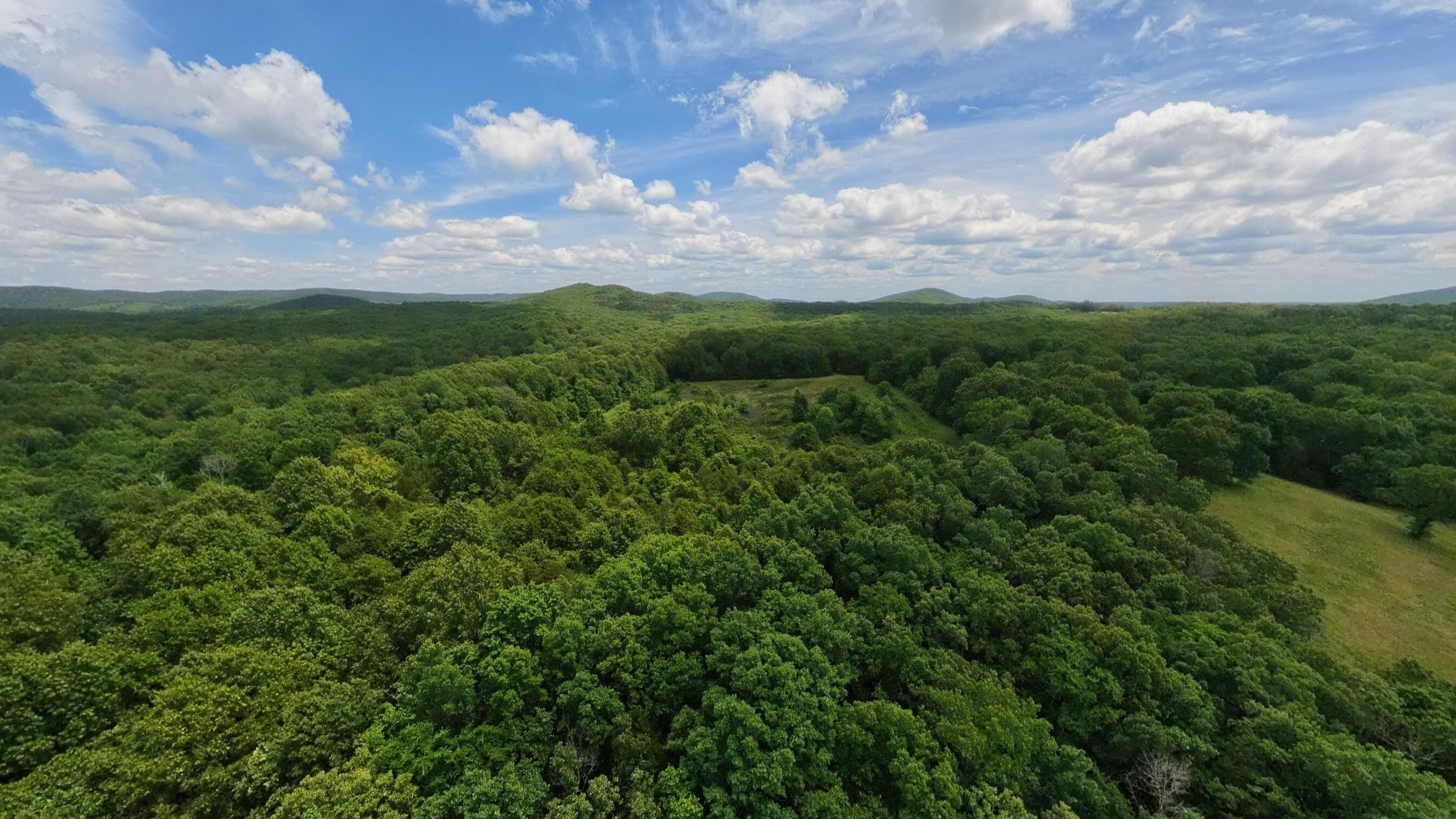 Photo 9 - Land for sale – 298  Eaton Run   Wasola, MO