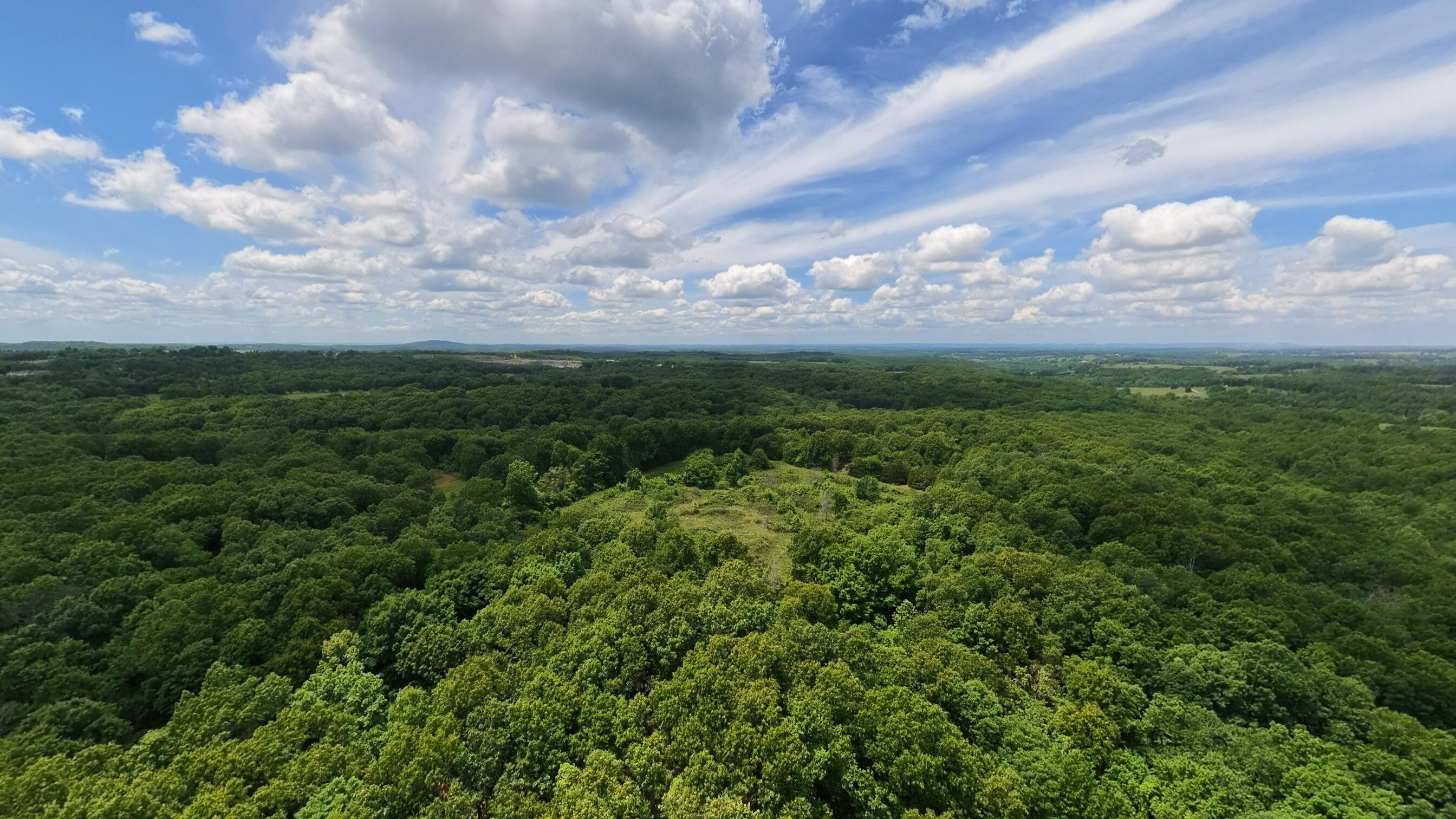Photo 14 - Land for sale – 298  Eaton Run   Wasola, MO