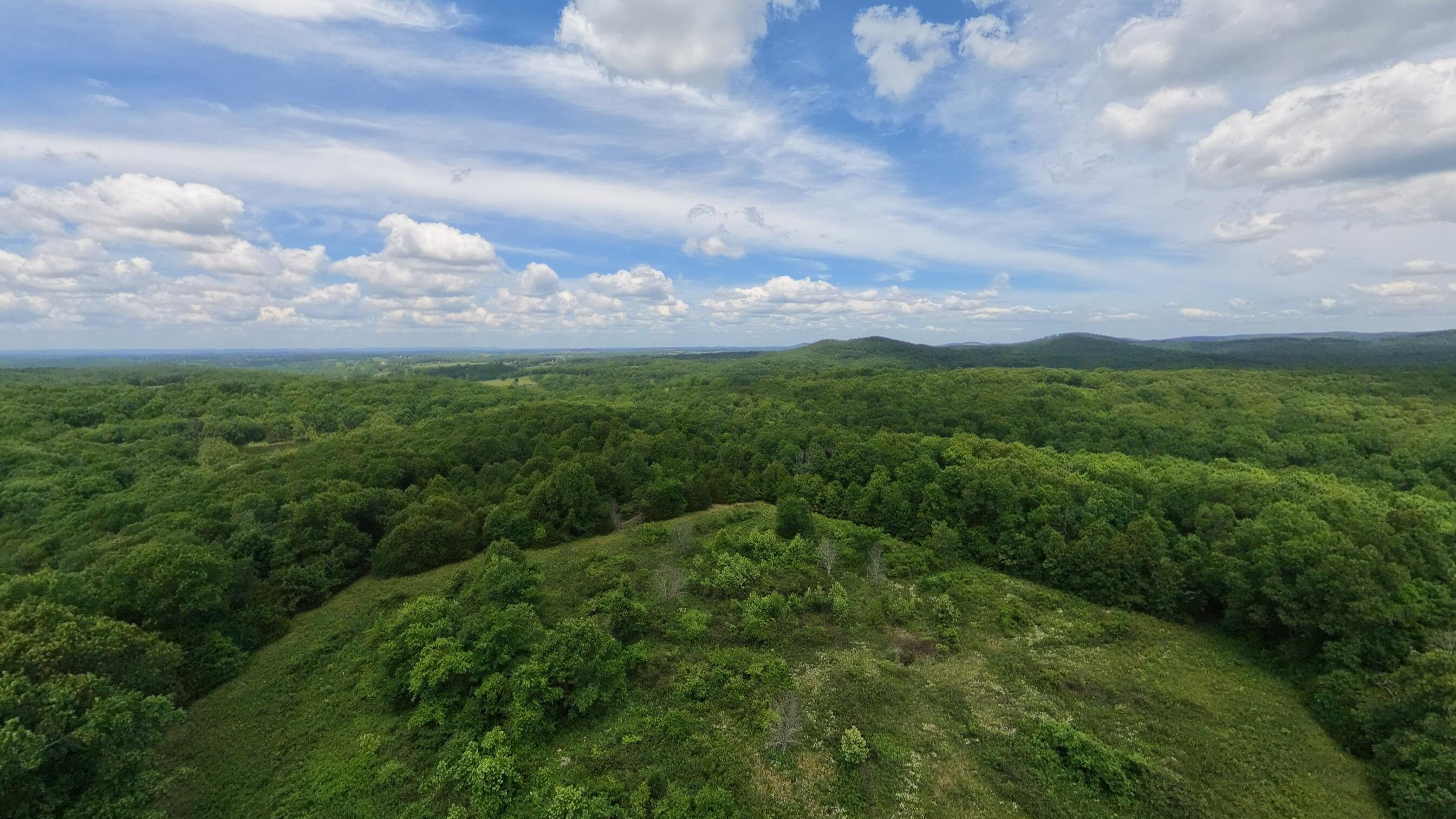 Photo 4 - Land for sale – 298  Eaton Run   Wasola, MO