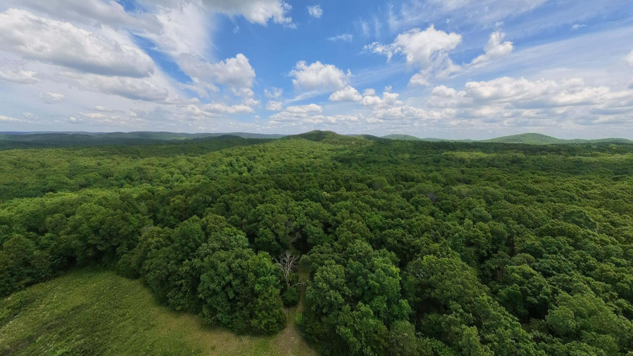 Photo 5 - Land for sale – 298  Eaton Run   Wasola, MO