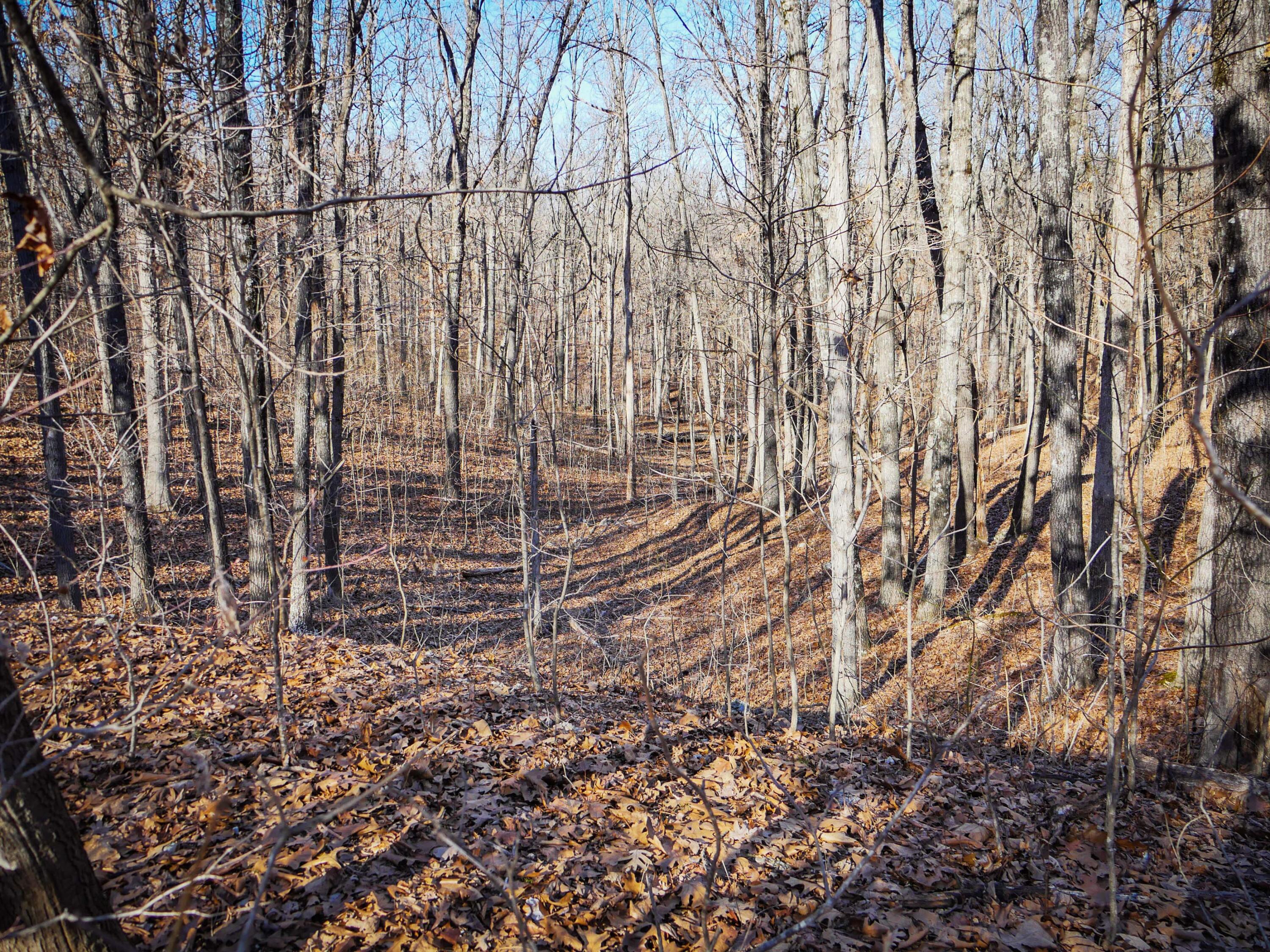 Photo 3 - Land for sale – 000  Ridge Trail Road  Tunas, MO