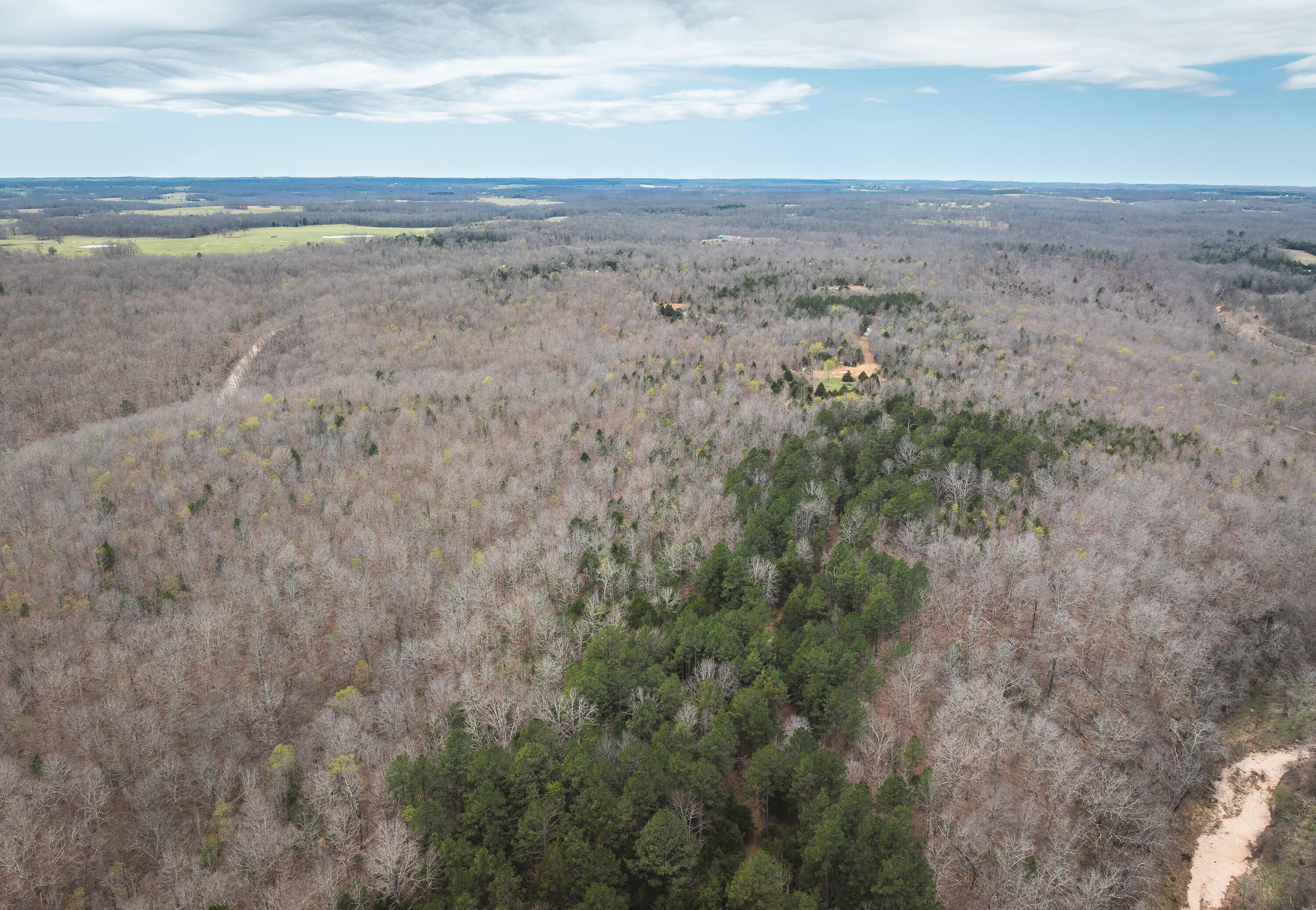 Photo 13 - Land for sale – 000  County Road 2660   Mountain View, MO