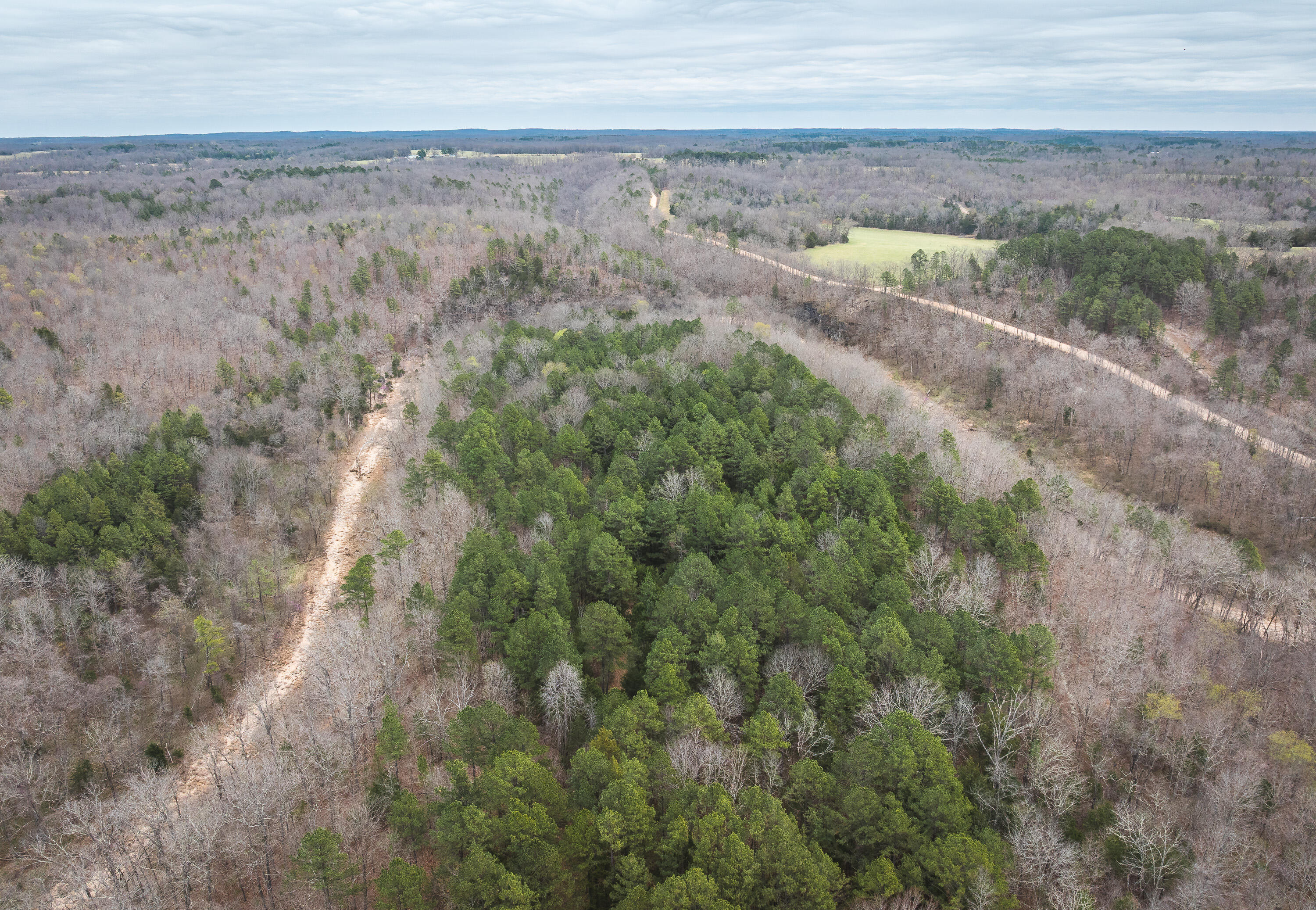 Photo 22 - Land for sale – 000  County Road 2660   Mountain View, MO