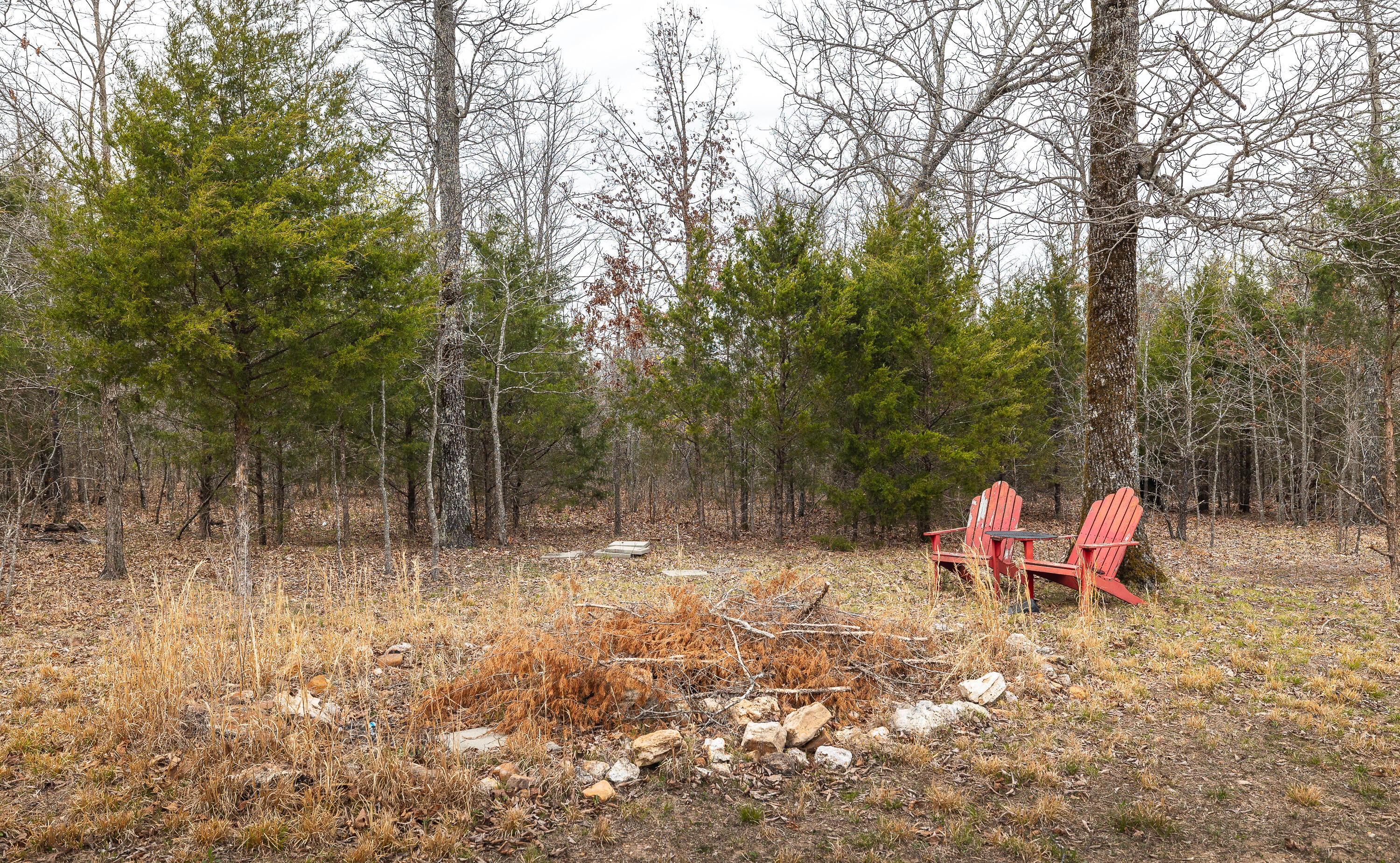 Photo 19 - Land for sale – 000  County Road 2660   Mountain View, MO