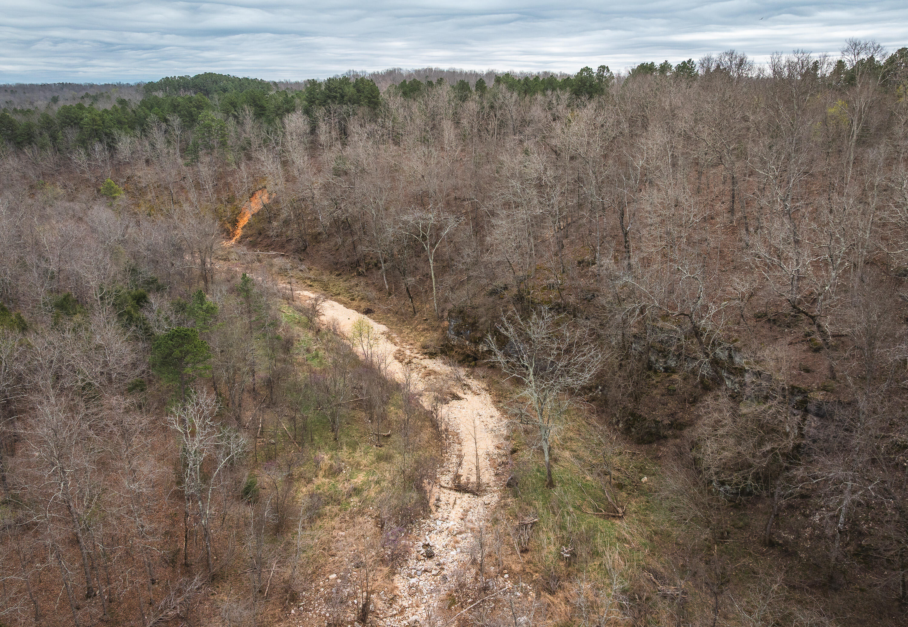 Photo 25 - Land for sale – 000  County Road 2660   Mountain View, MO