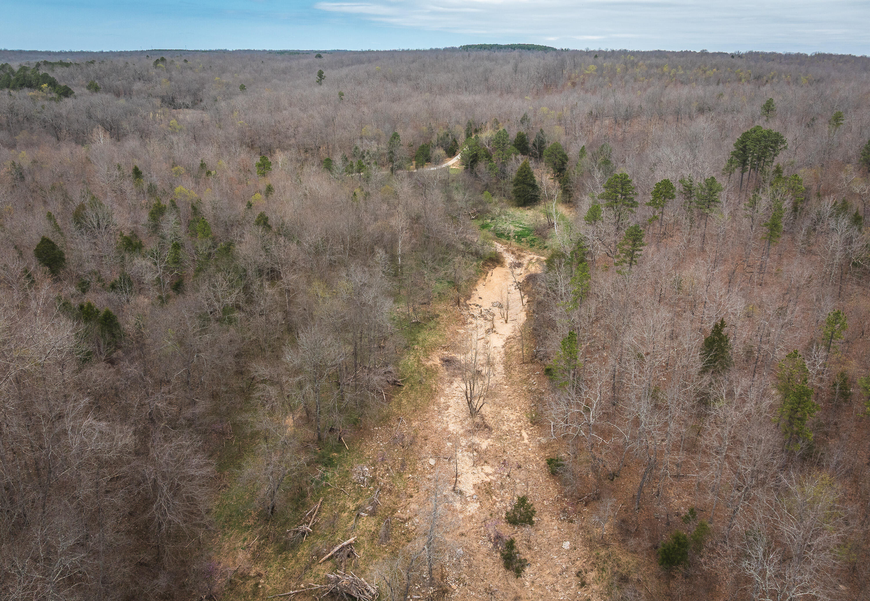 Photo 17 - Land for sale – 000  County Road 2660   Mountain View, MO