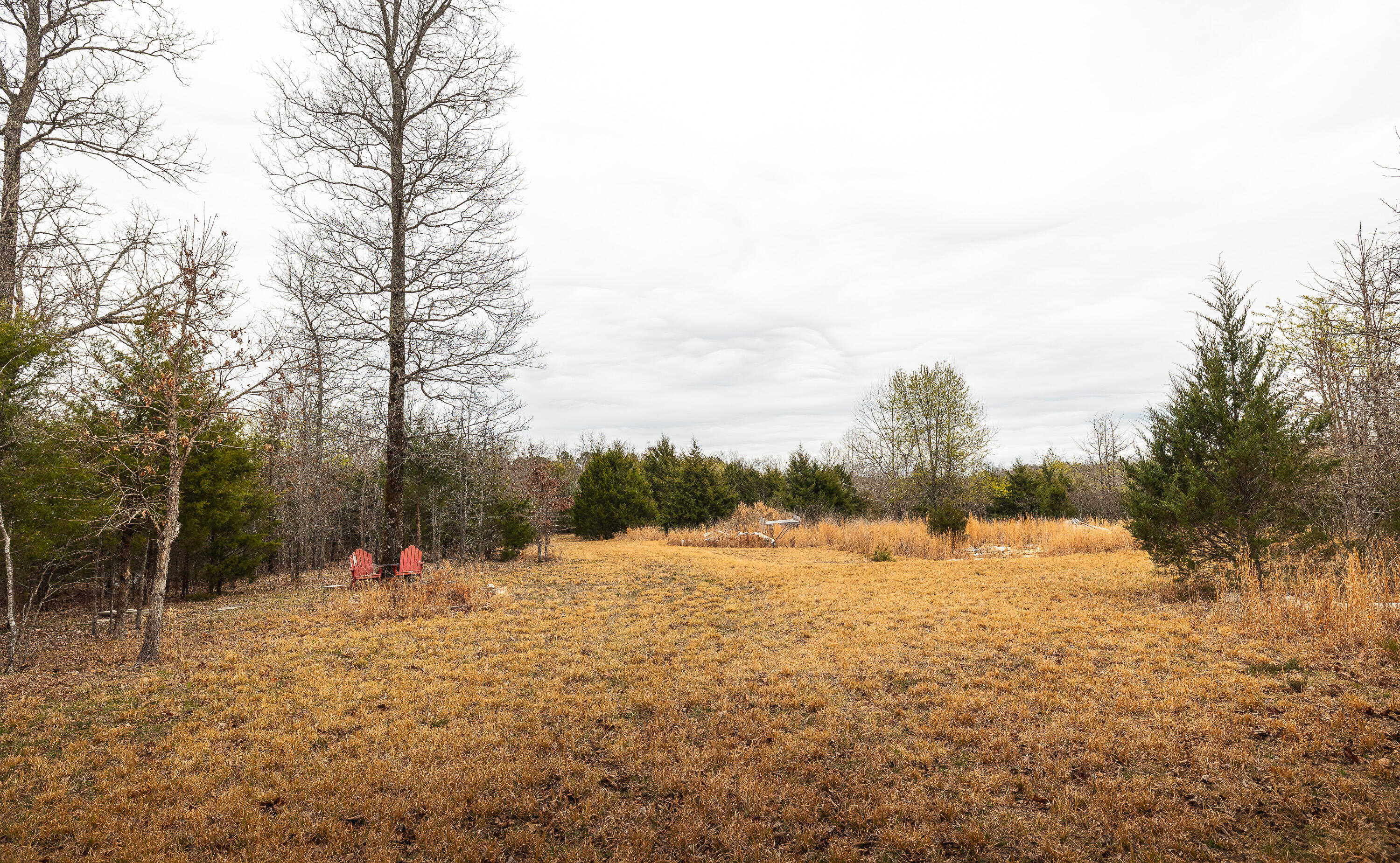 Photo 7 - Land for sale – 000  County Road 2660   Mountain View, MO
