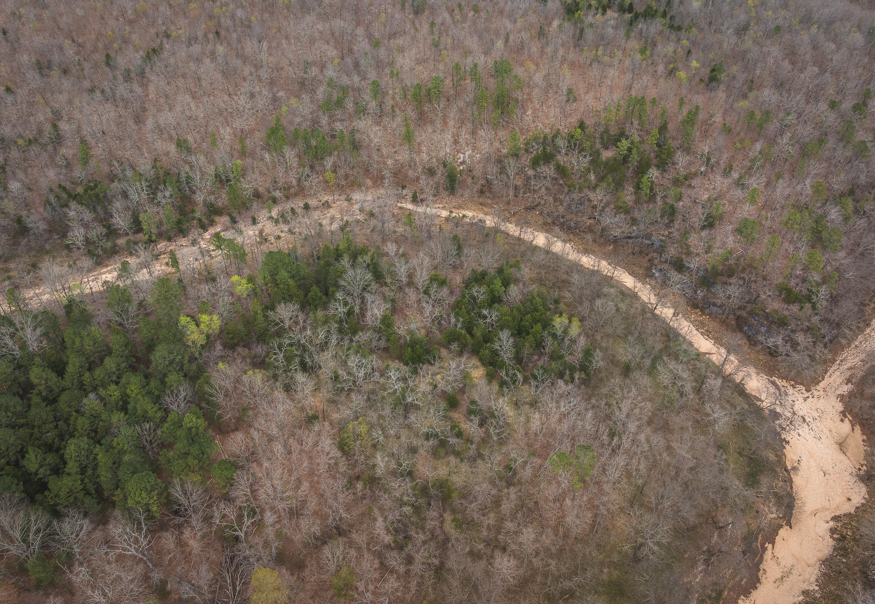 Photo 14 - Land for sale – 000  County Road 2660   Mountain View, MO