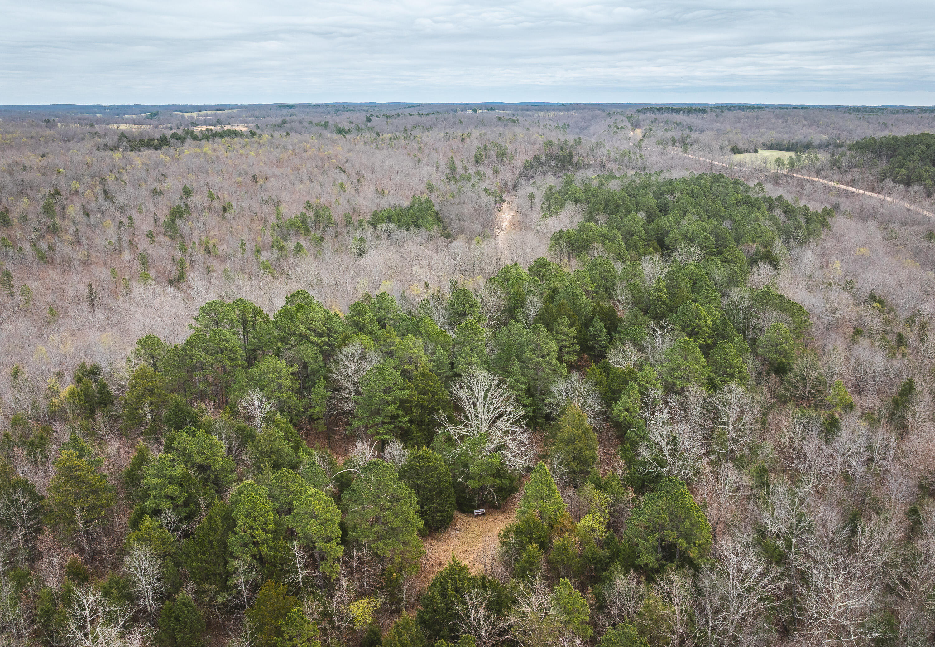 Photo 2 - Land for sale – 000  County Road 2660   Mountain View, MO