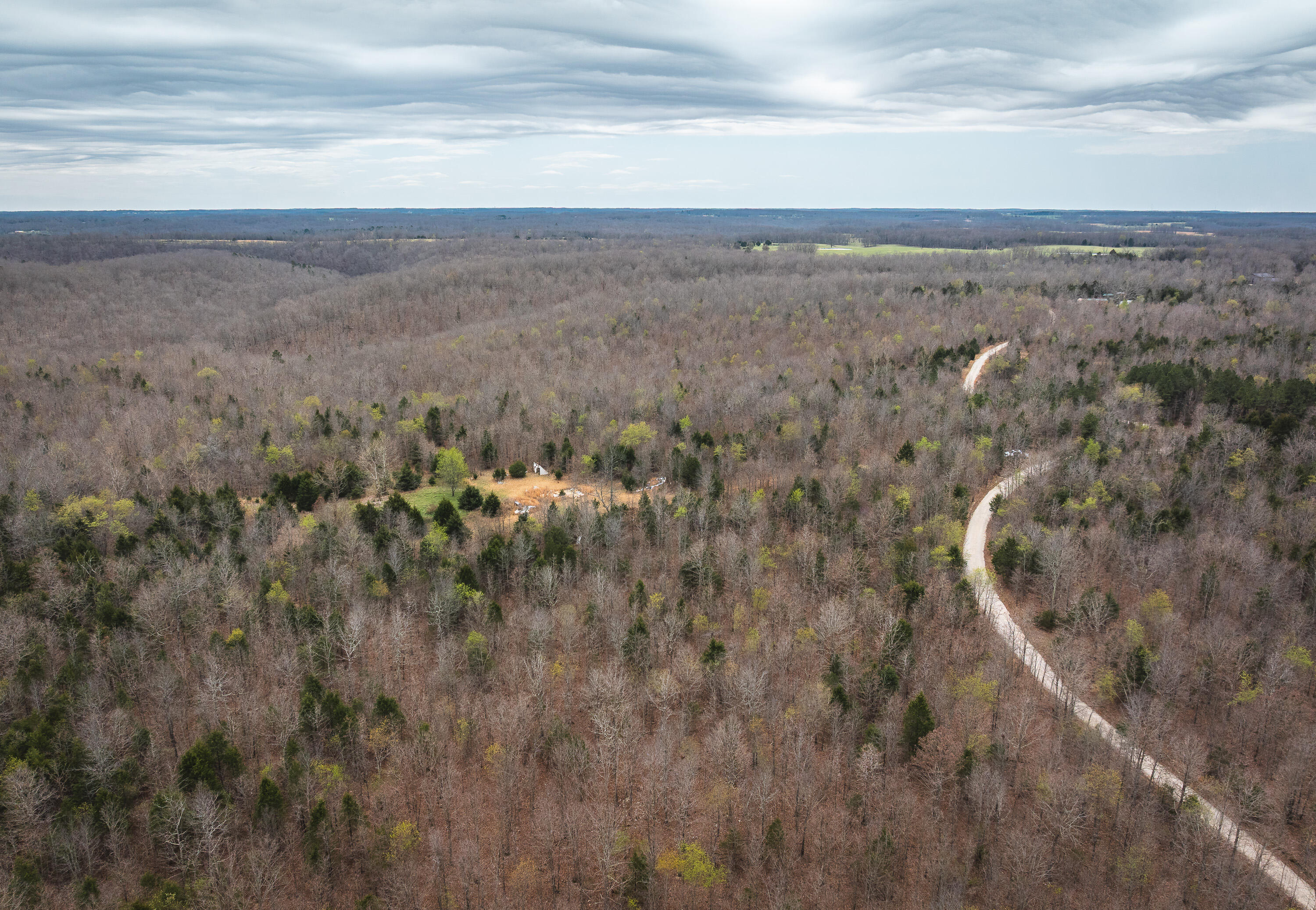 Photo 26 - Land for sale – 000  County Road 2660   Mountain View, MO