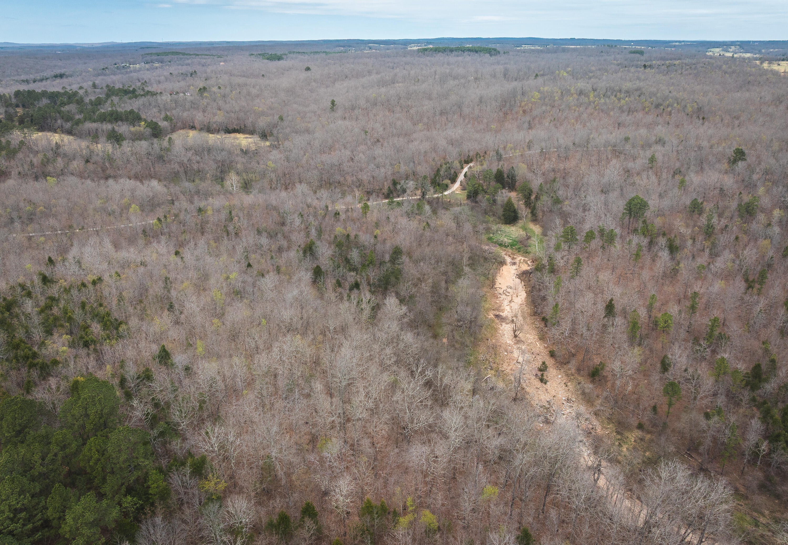 Photo 11 - Land for sale – 000  County Road 2660   Mountain View, MO