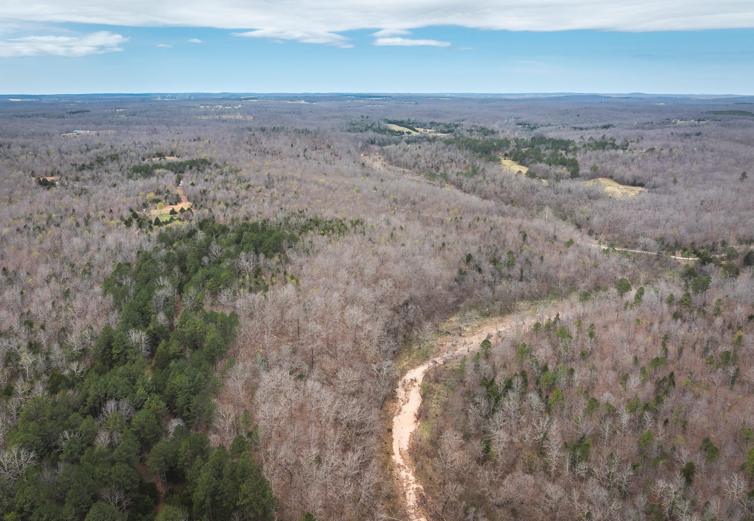 Photo 24 - Land for sale – 000  County Road 2660   Mountain View, MO