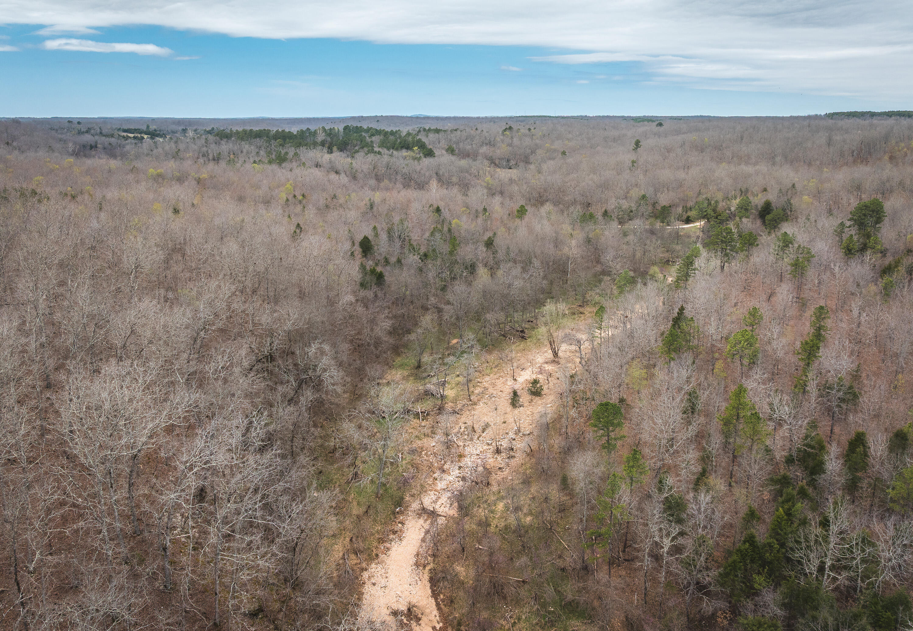 Photo 12 - Land for sale – 000  County Road 2660   Mountain View, MO