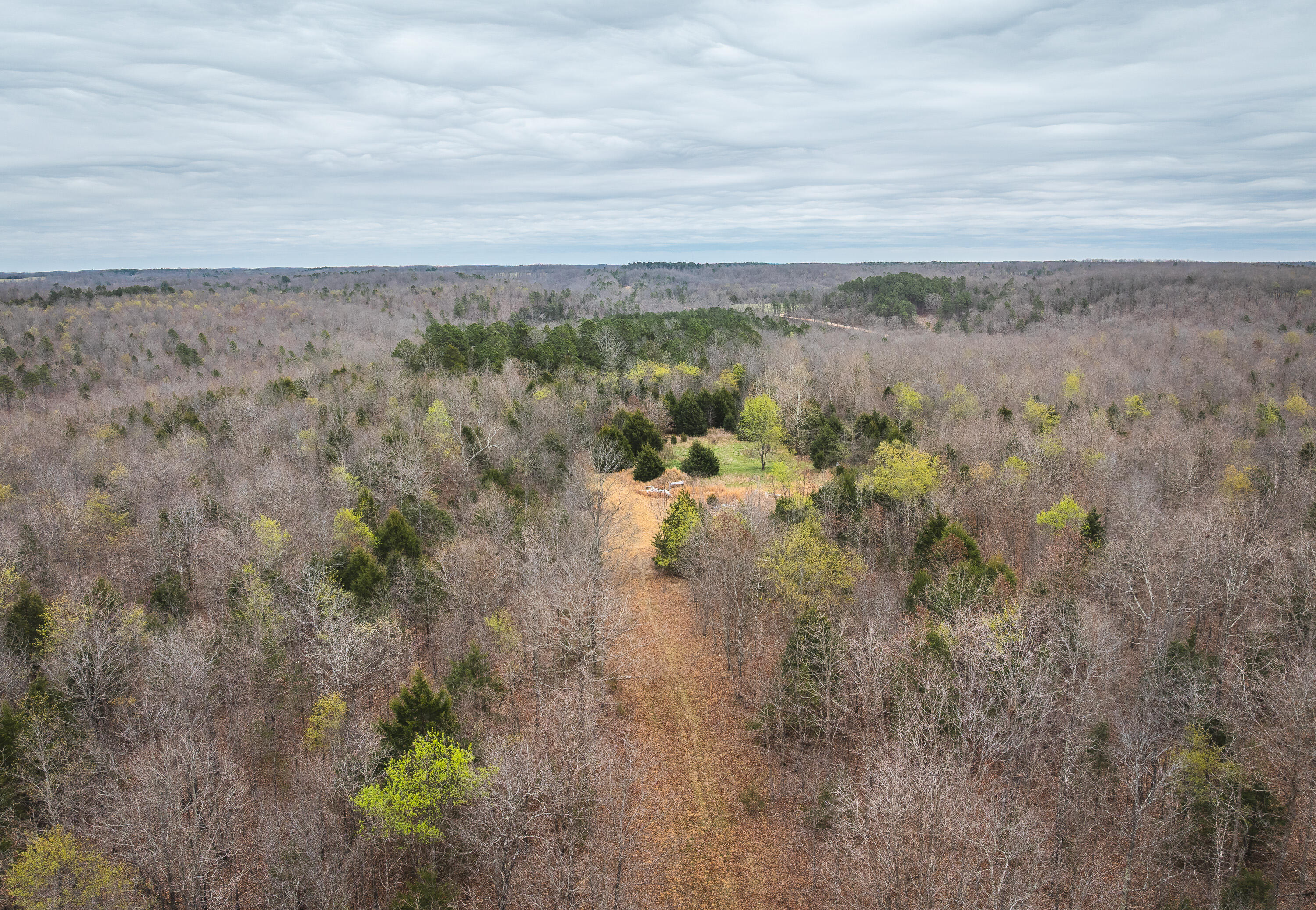 Land for sale – 000  County Road 2660   Mountain View, MO