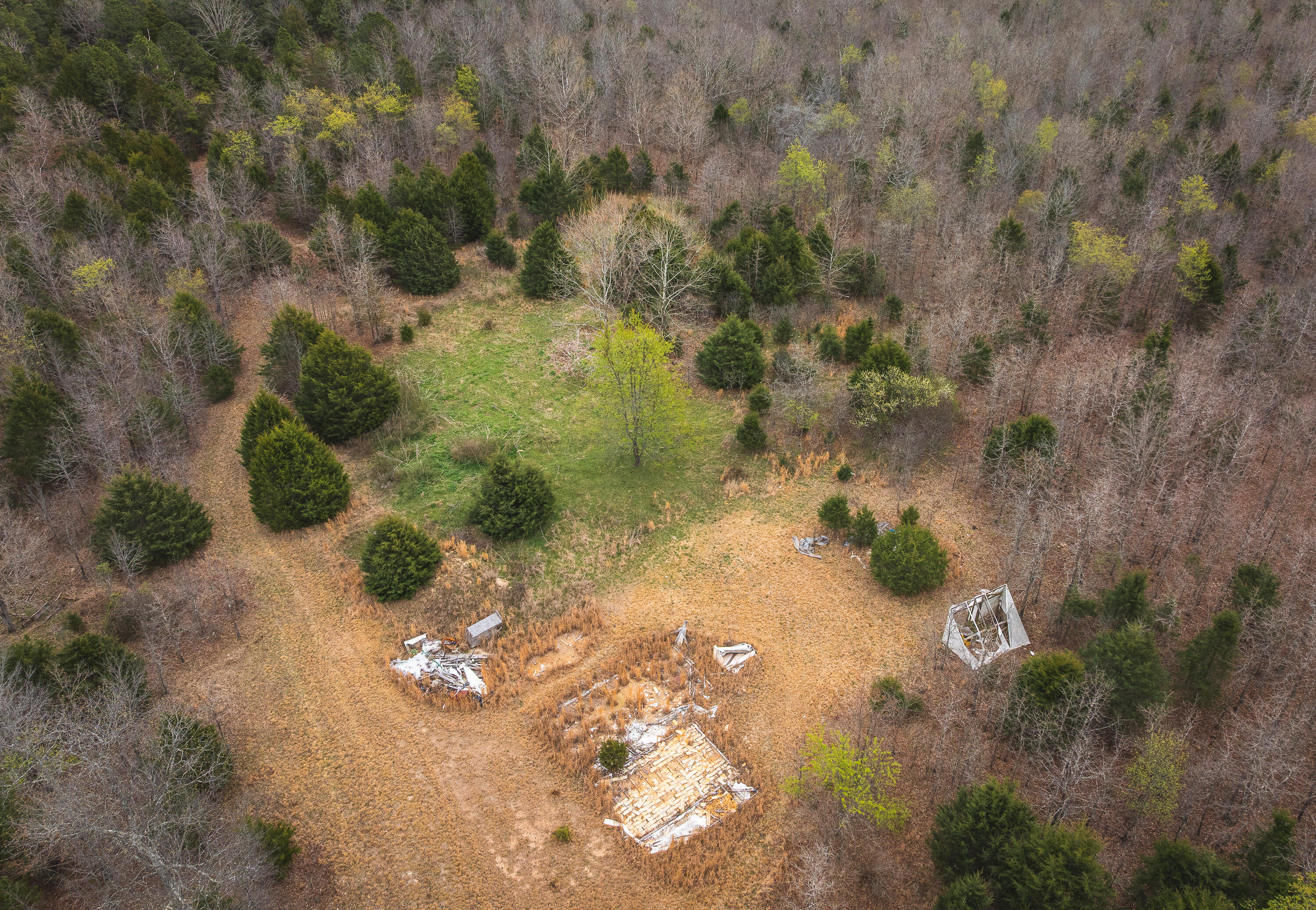 Photo 9 - Land for sale – 000  County Road 2660   Mountain View, MO