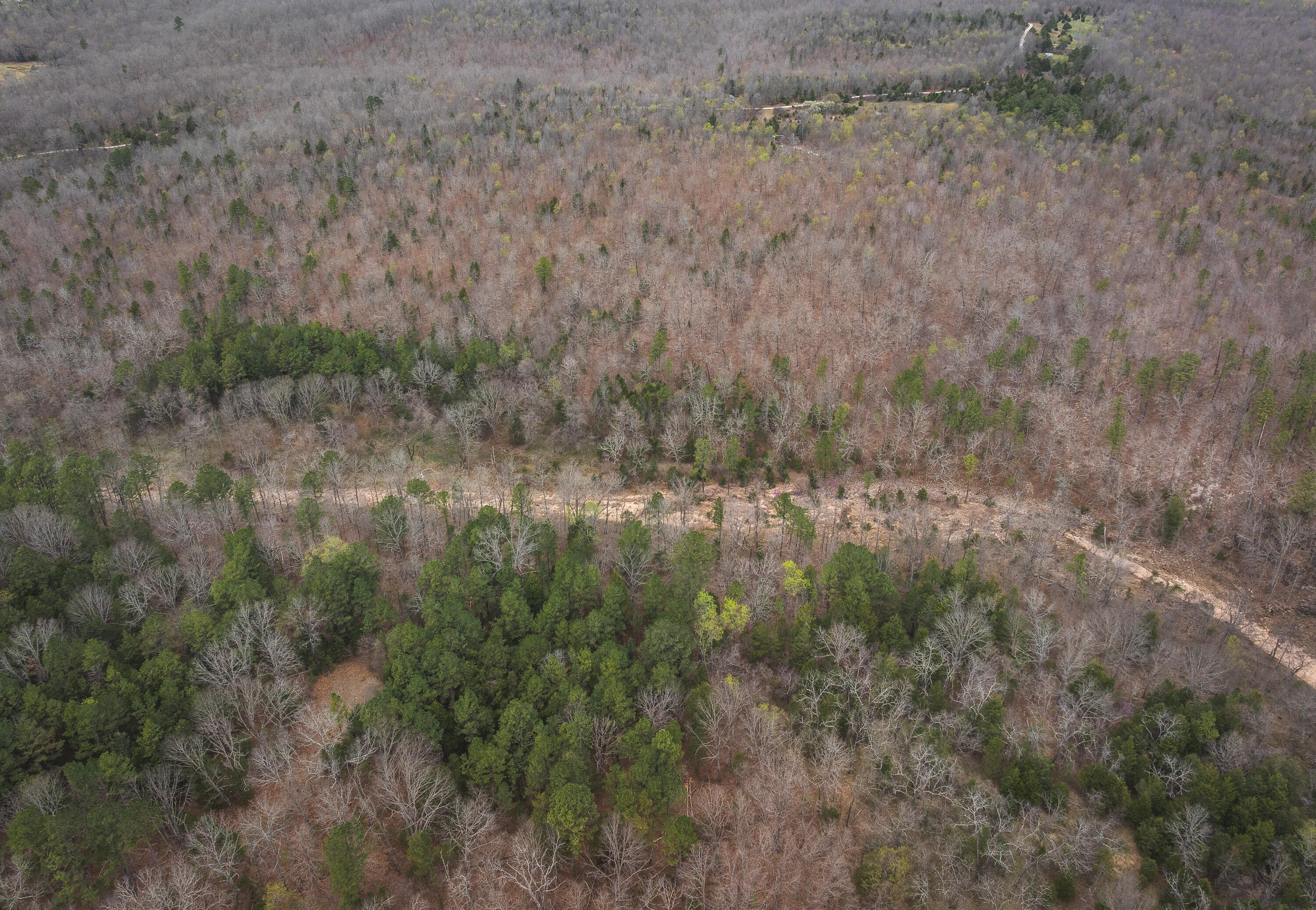 Photo 15 - Land for sale – 000  County Road 2660   Mountain View, MO