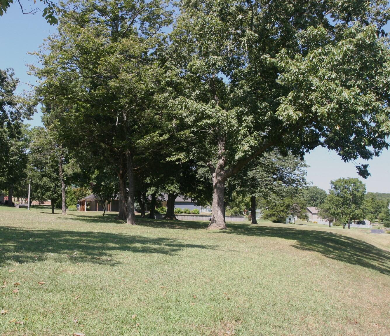 Photo 6 - Land for sale – Lot 8 & 9  Twin Island Drive  Blue Eye, MO